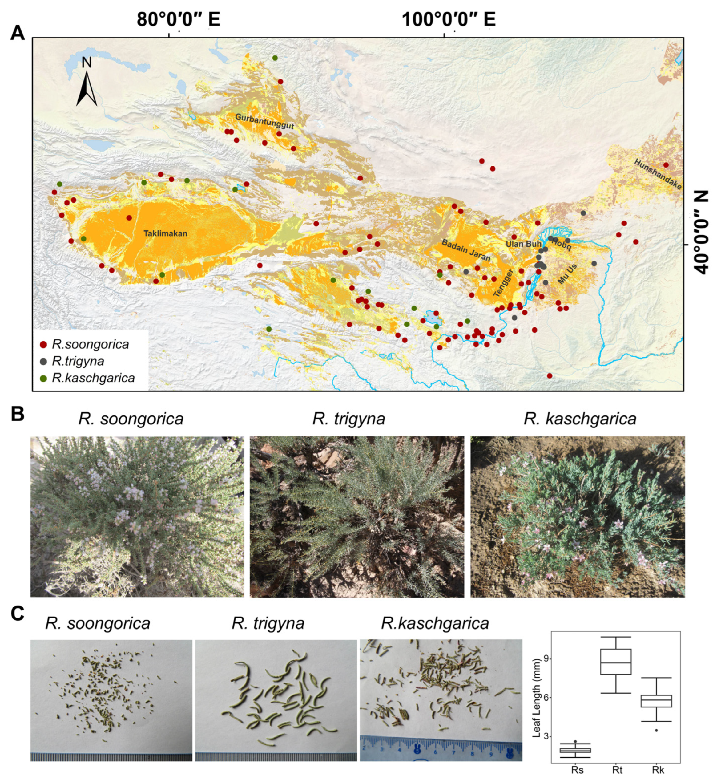 Ijms 25 11065 g001 Ijms 25 11065 g001