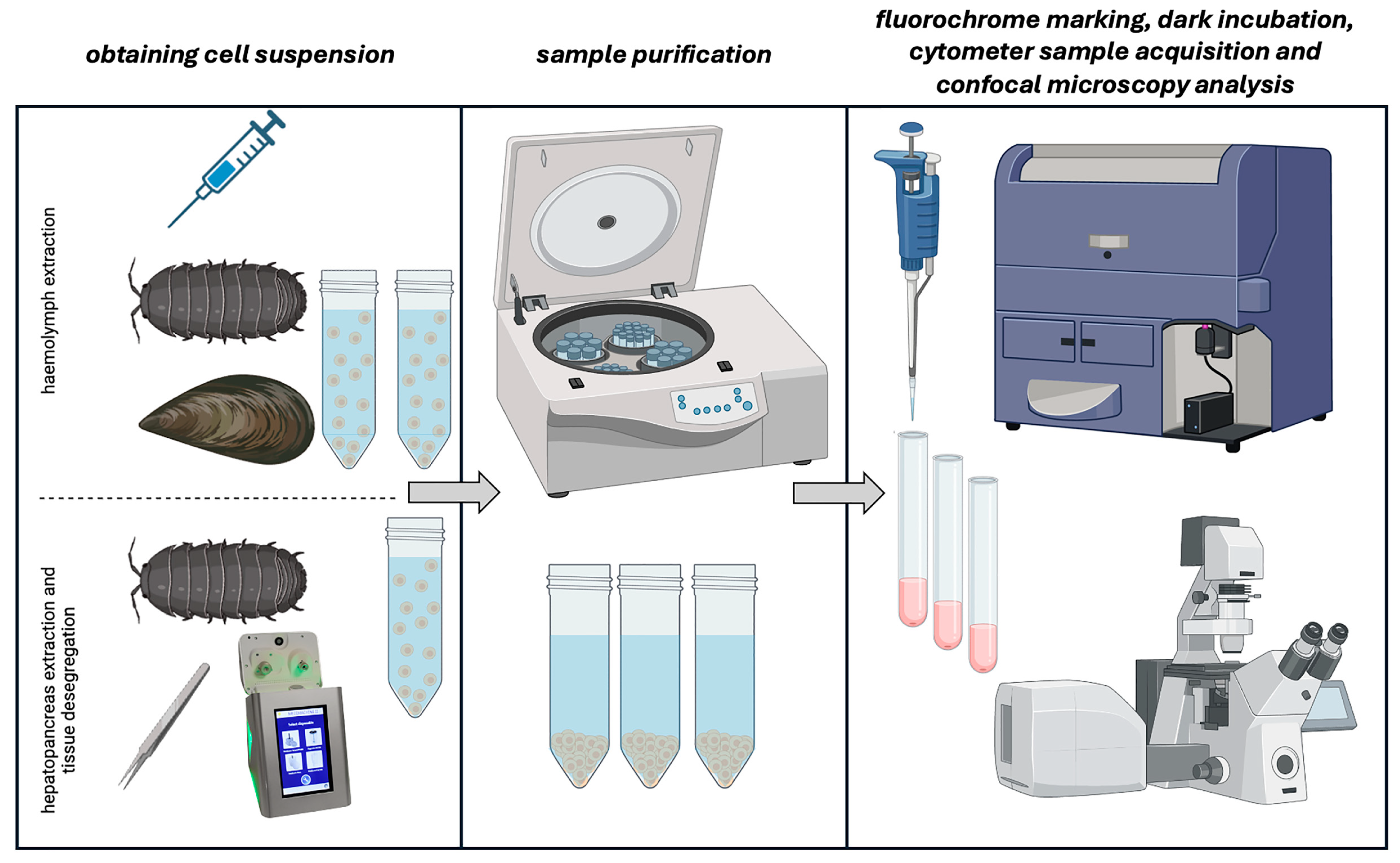Ijms 25 11069 g004 Ijms 25 11069 g004