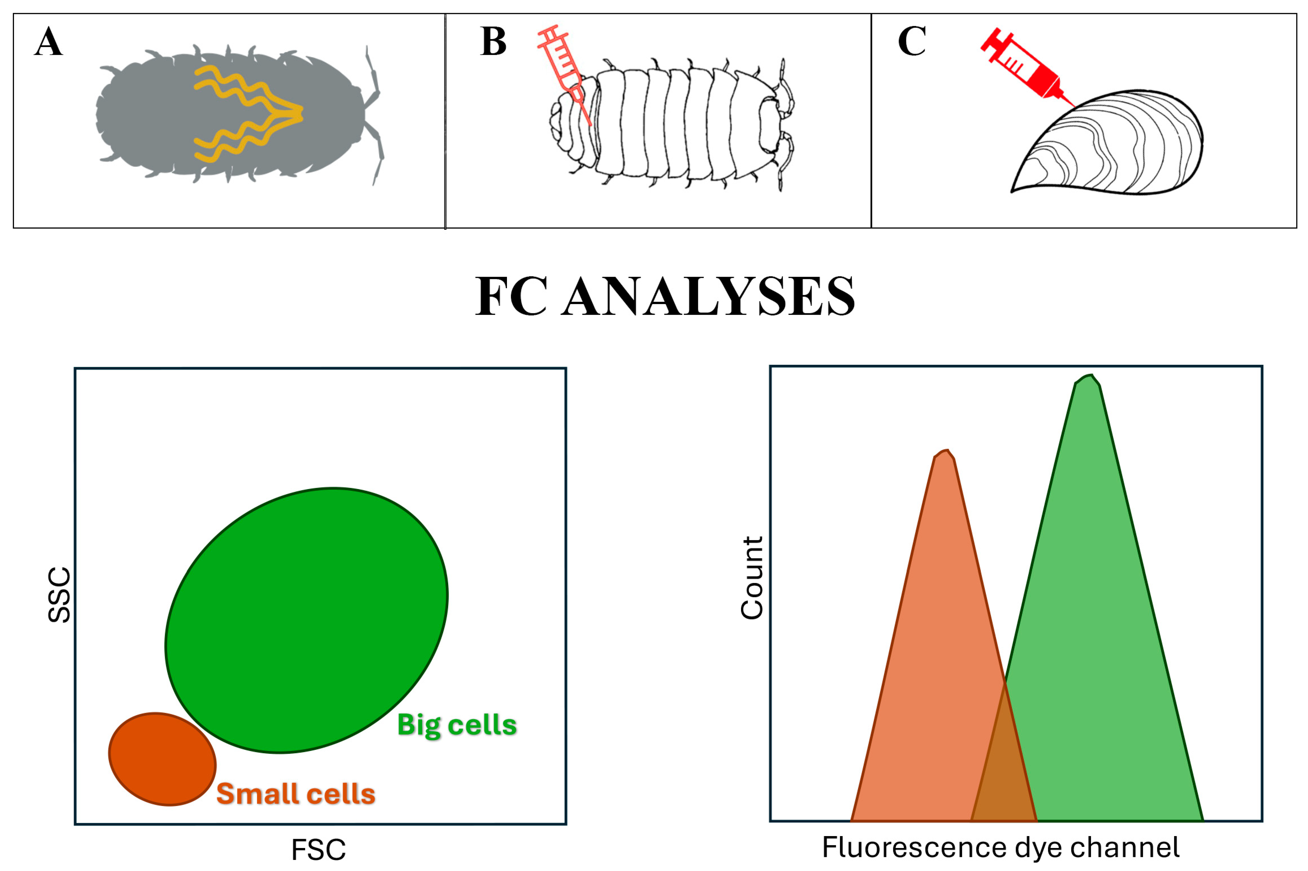 Ijms 25 11069 g005 Ijms 25 11069 g005