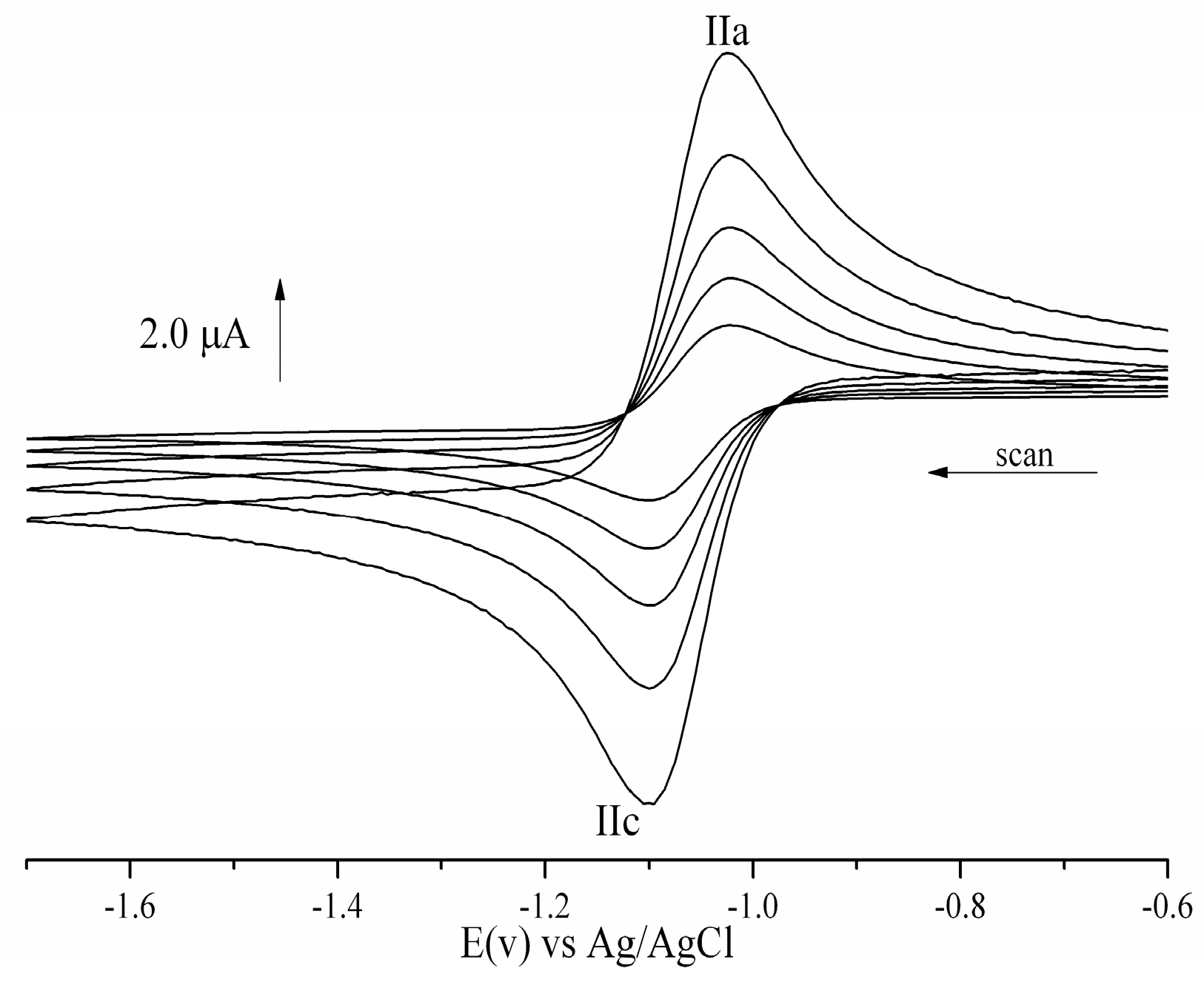 Ijms 25 11107 g003 Ijms 25 11107 g003