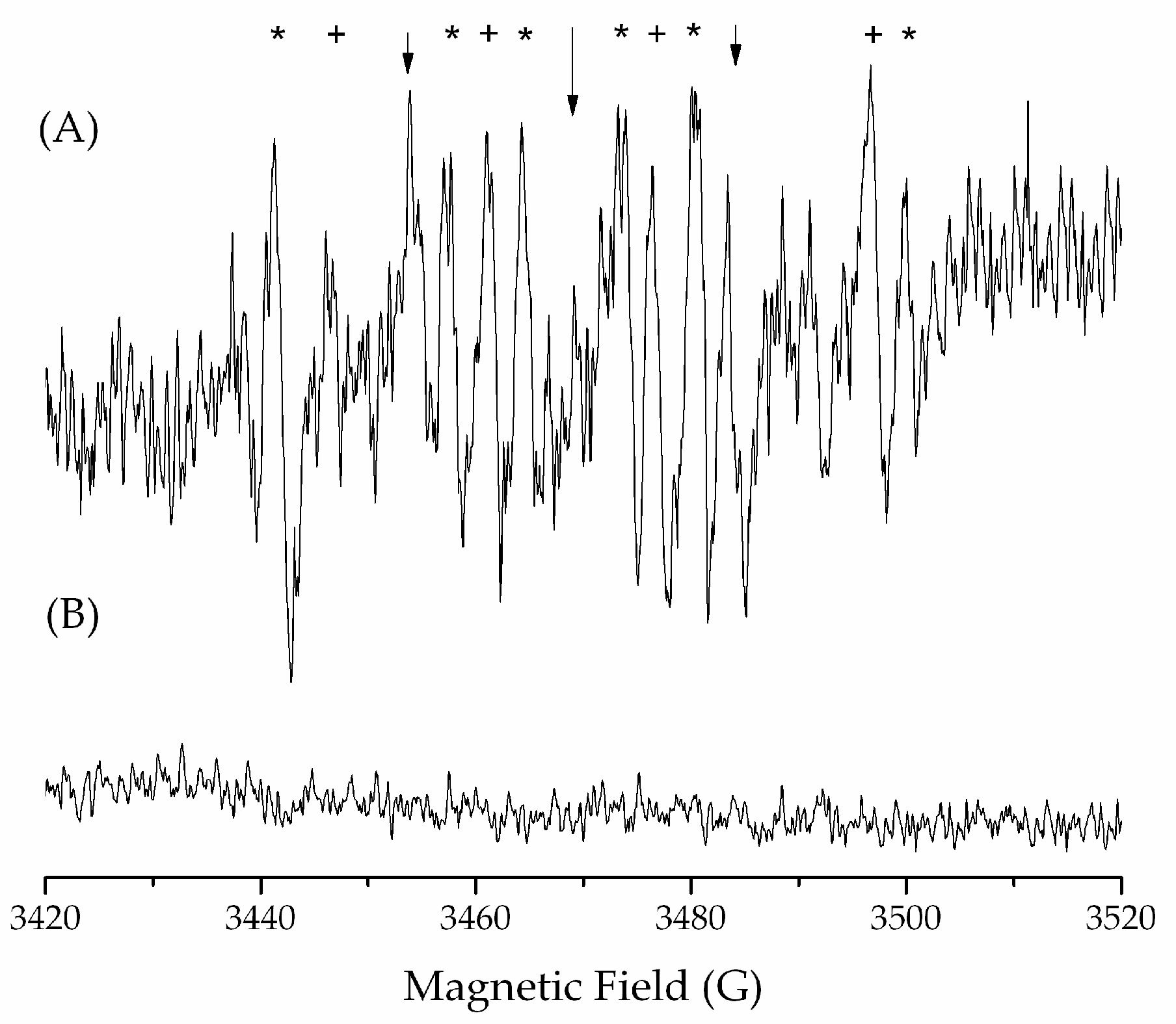 Ijms 25 11107 g008 Ijms 25 11107 g008