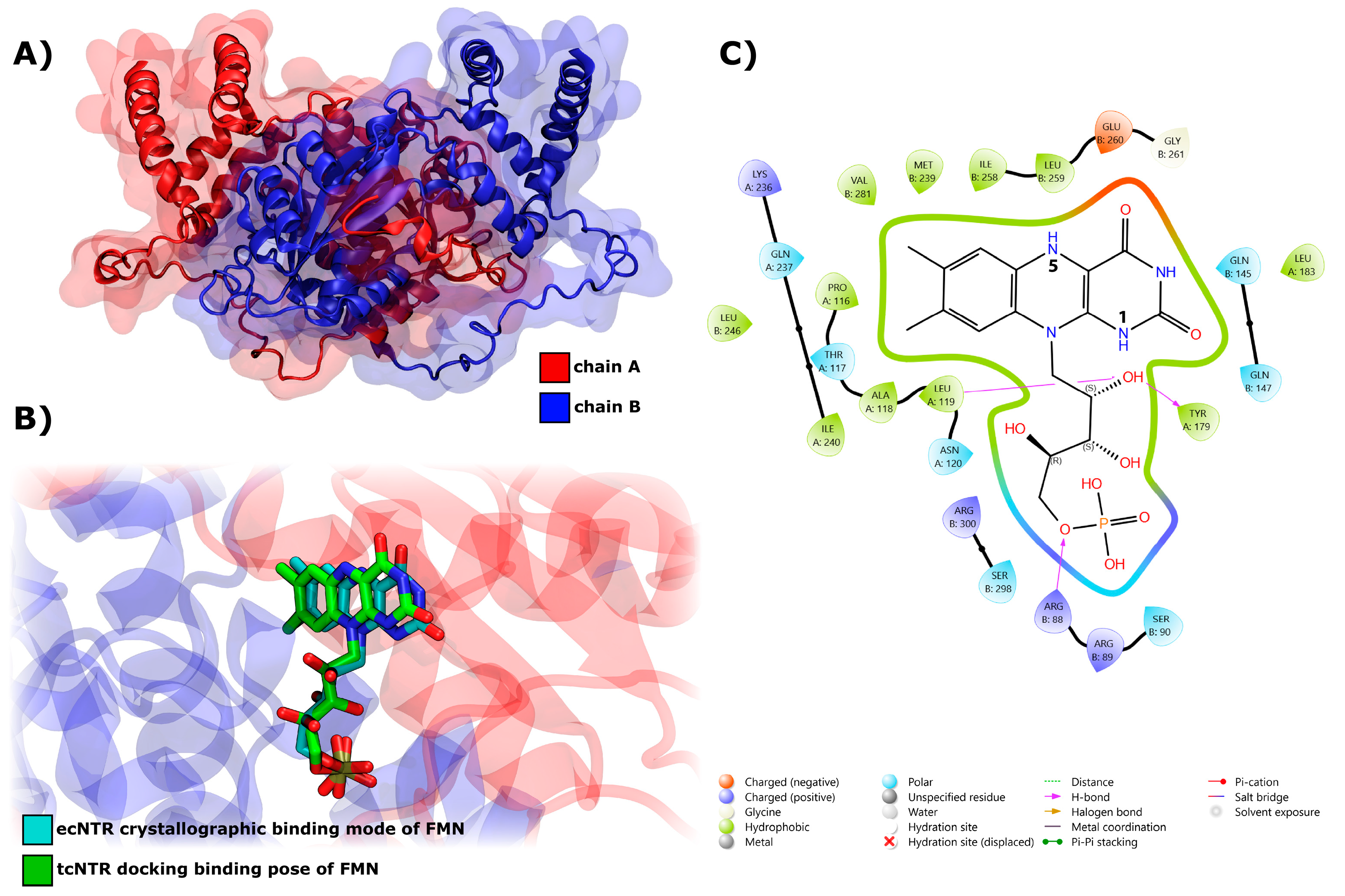 Ijms 25 11107 g009 Ijms 25 11107 g009
