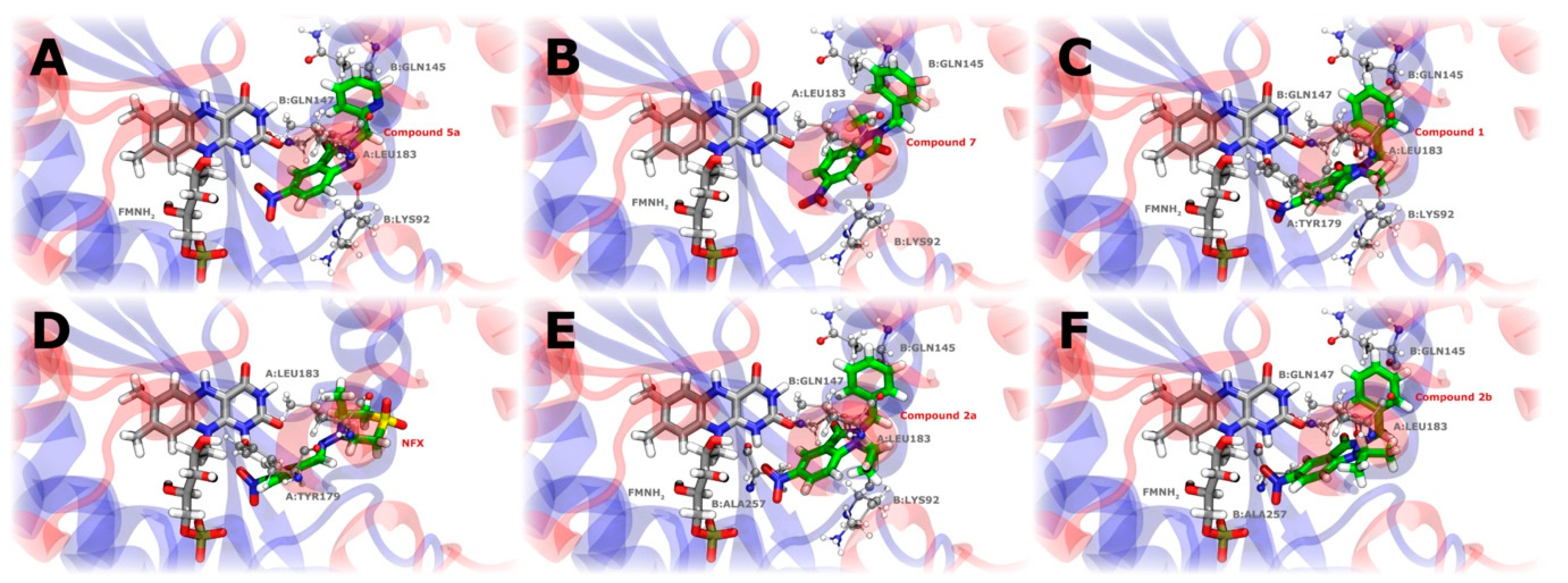Ijms 25 11107 g010 Ijms 25 11107 g010