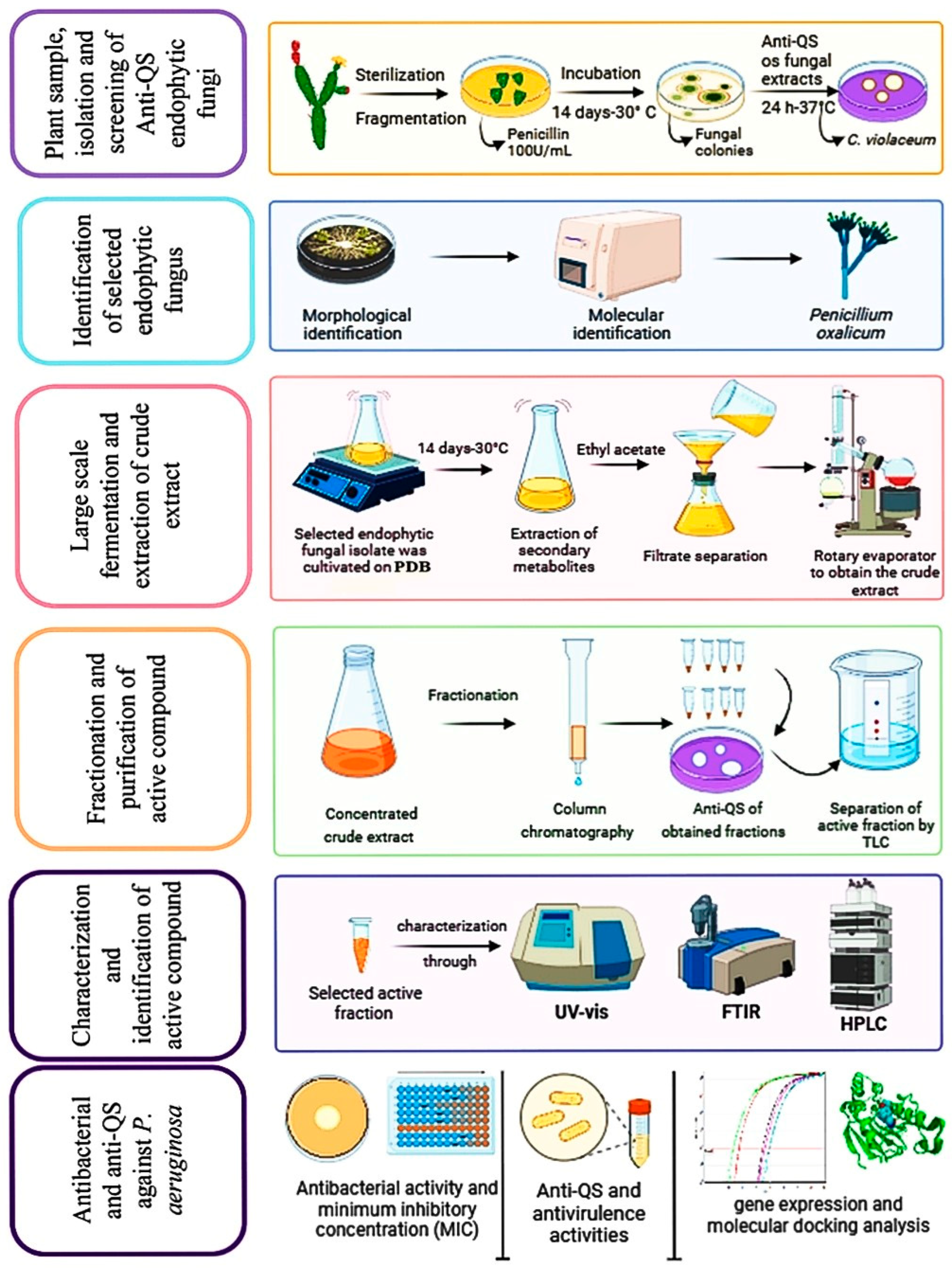 Ijms 25 11115 g001 Ijms 25 11115 g001