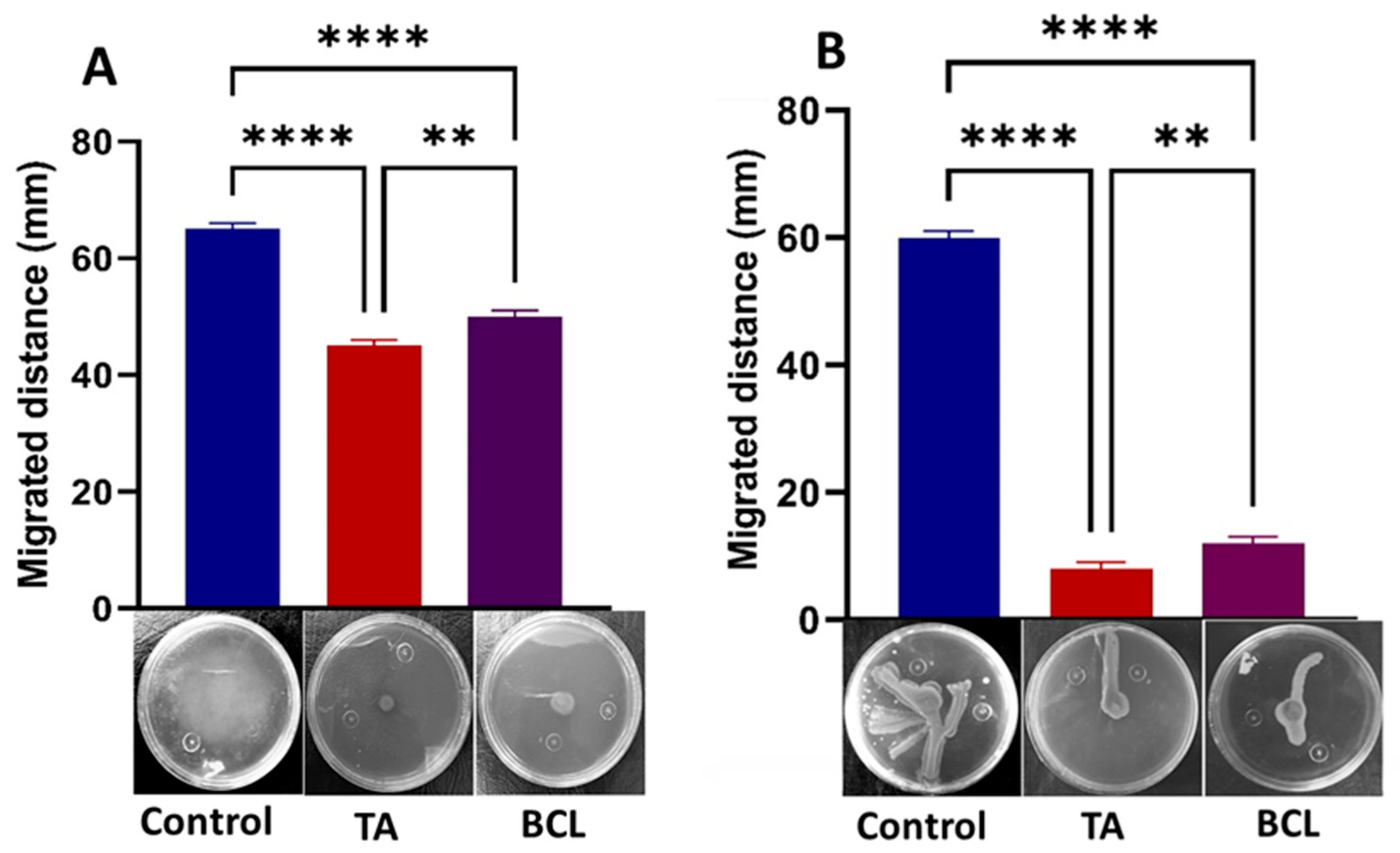 Ijms 25 11115 g006 Ijms 25 11115 g006