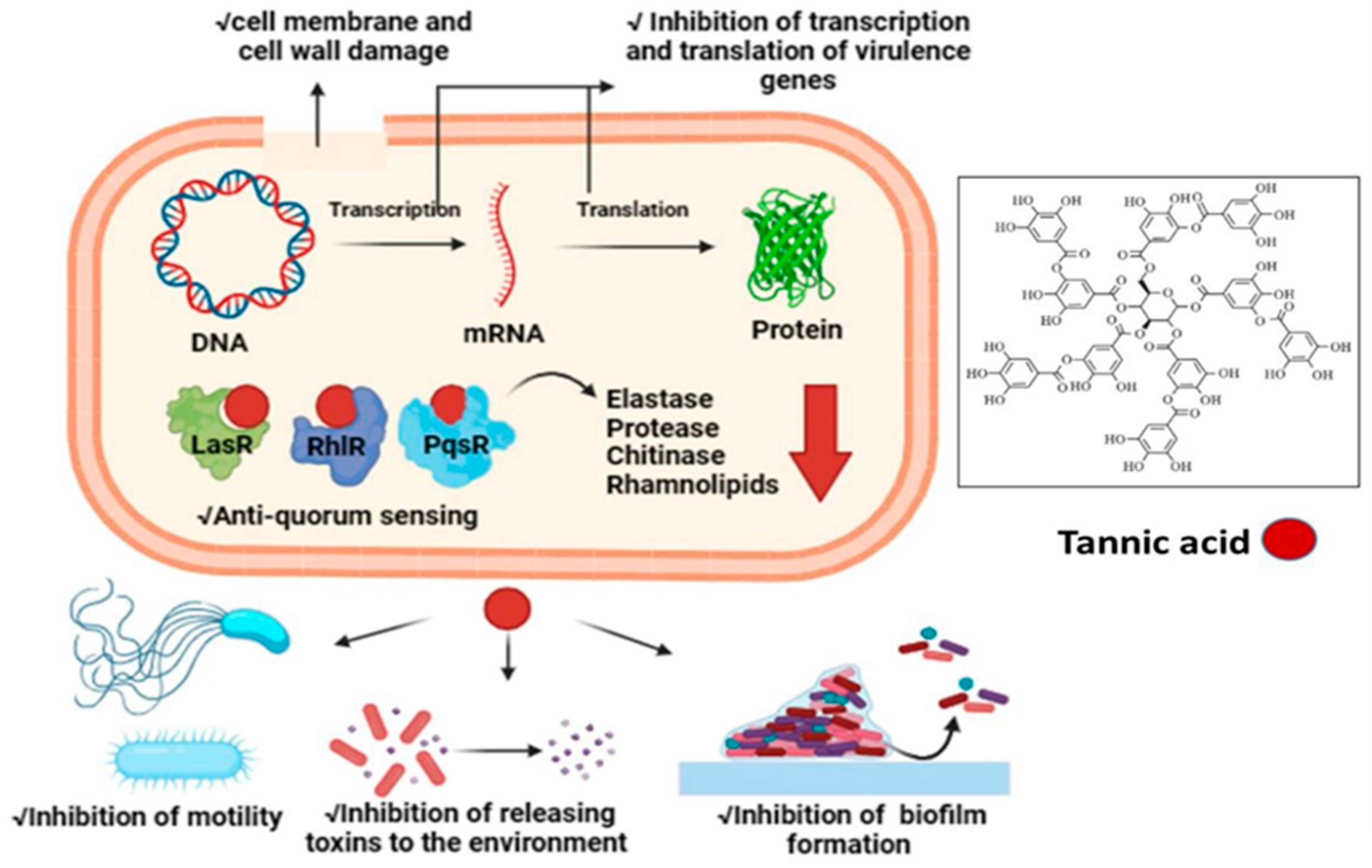 Ijms 25 11115 g008 Ijms 25 11115 g008