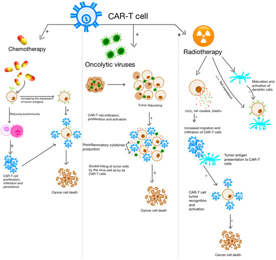 Oncolytic Viruses as Reliable Adjuvants in CAR-T Cell Therapy for Solid ...