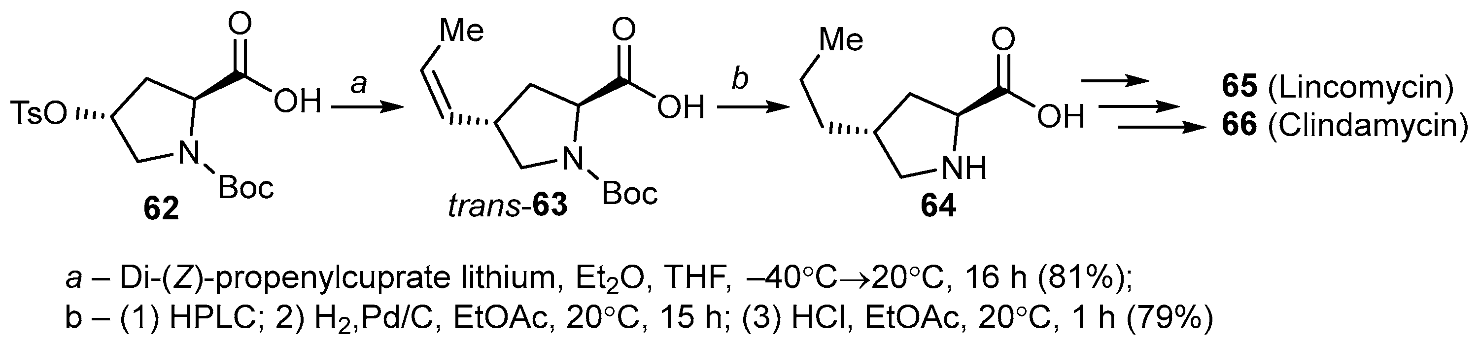 Ijms 25 11158 sch019
