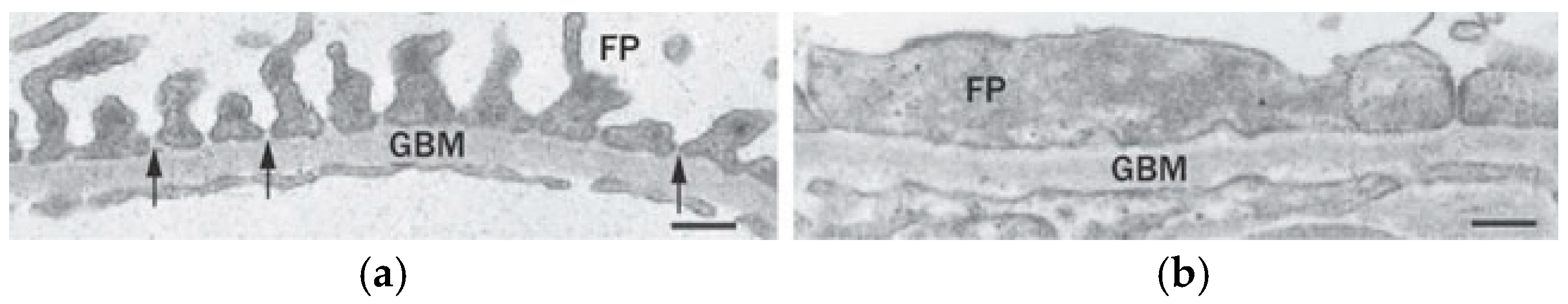 Ijms 25 11171 g002 Ijms 25 11171 g002