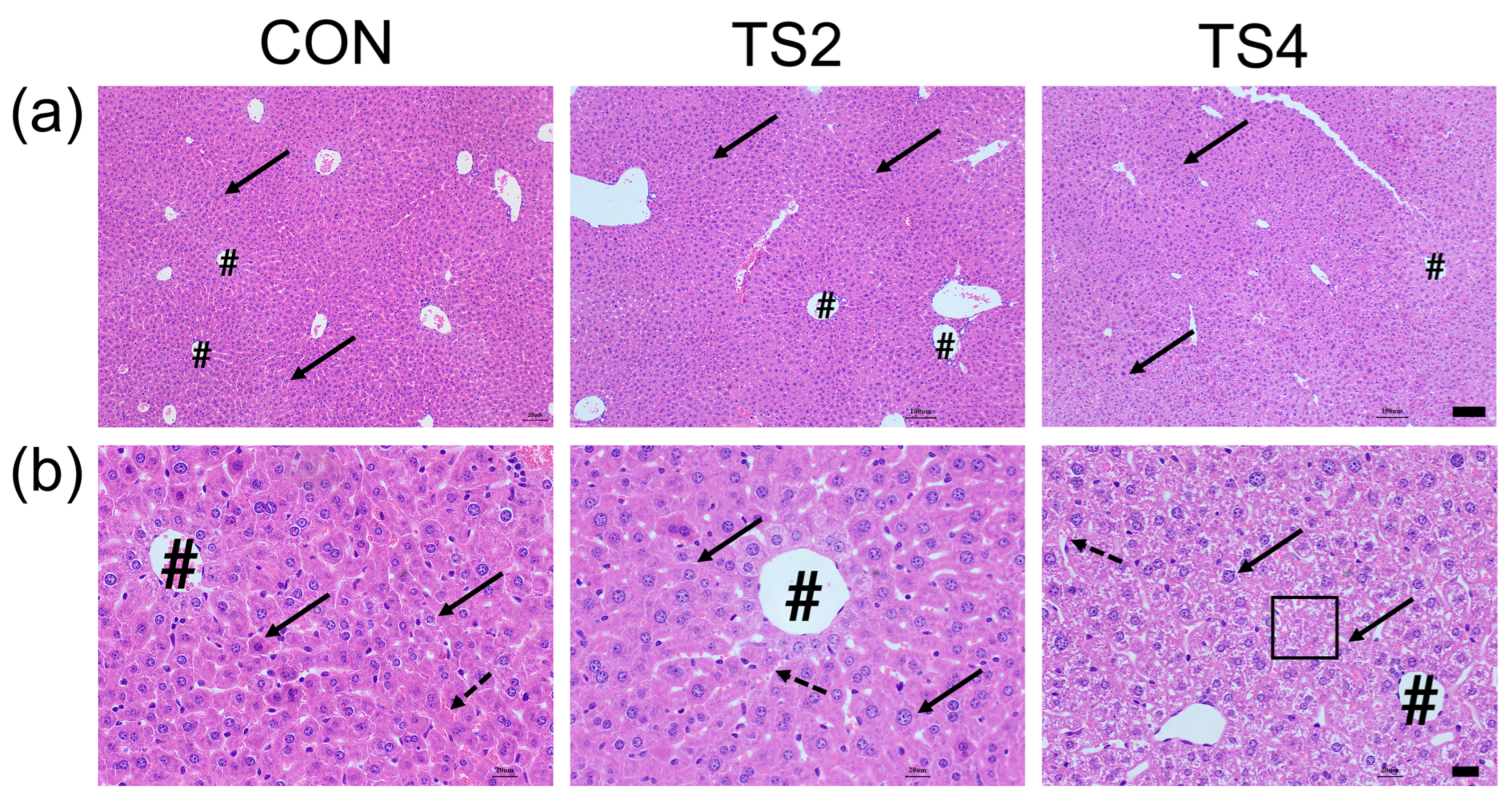 Ijms 25 11196 g002 Ijms 25 11196 g002