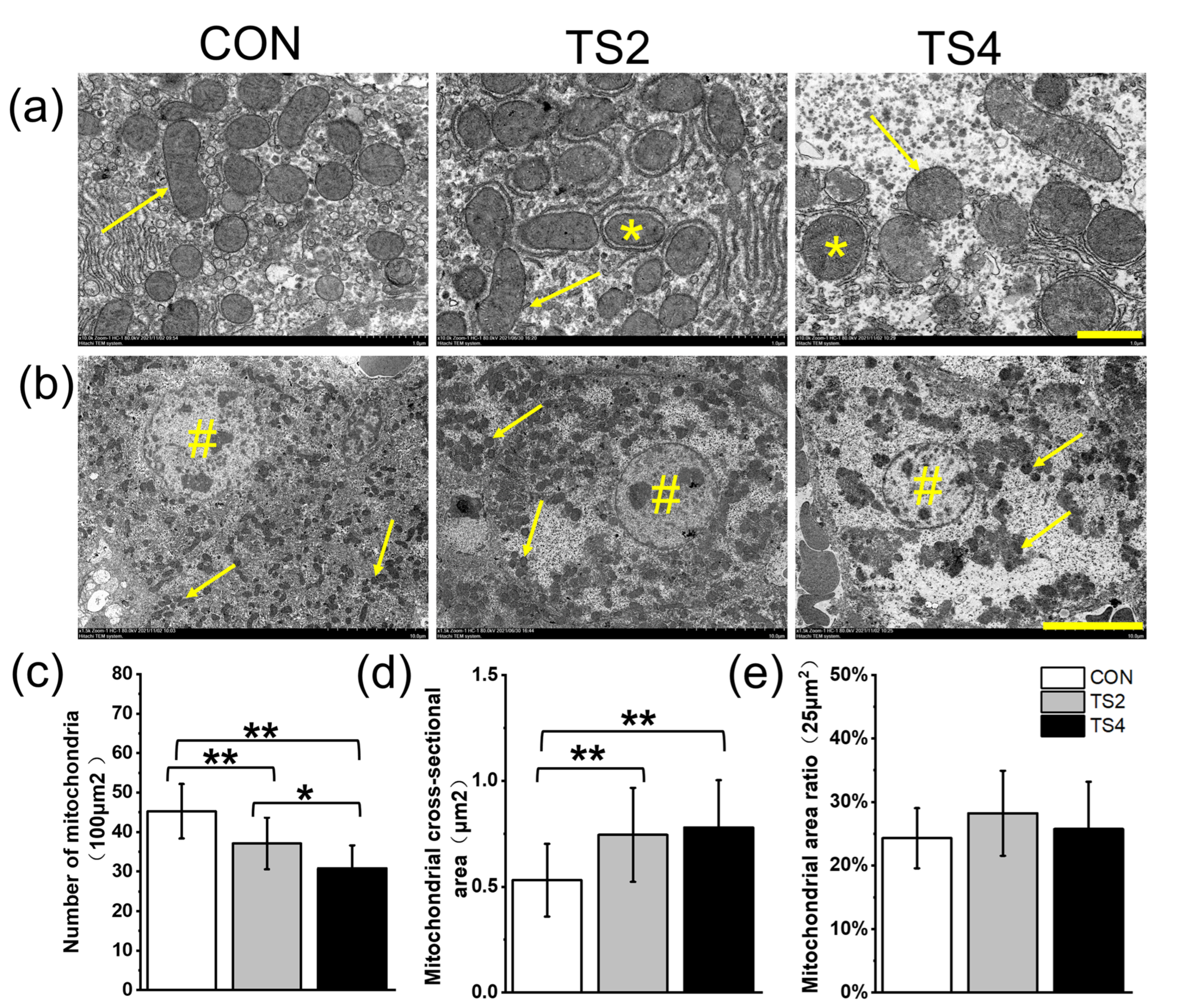 Ijms 25 11196 g003 Ijms 25 11196 g003
