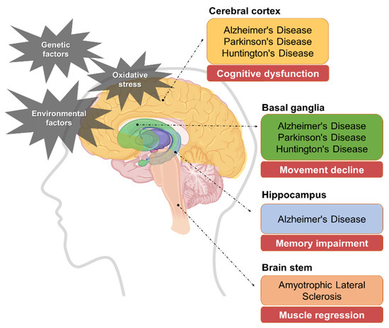Natural Products and Their Neuroprotective Effects in