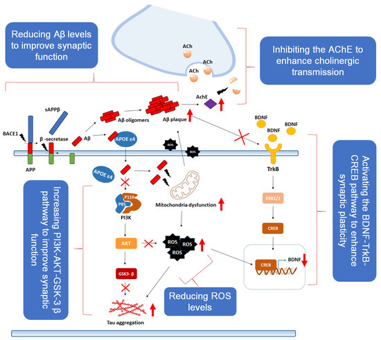 Natural Products and Their Neuroprotective Effects in Degenerative