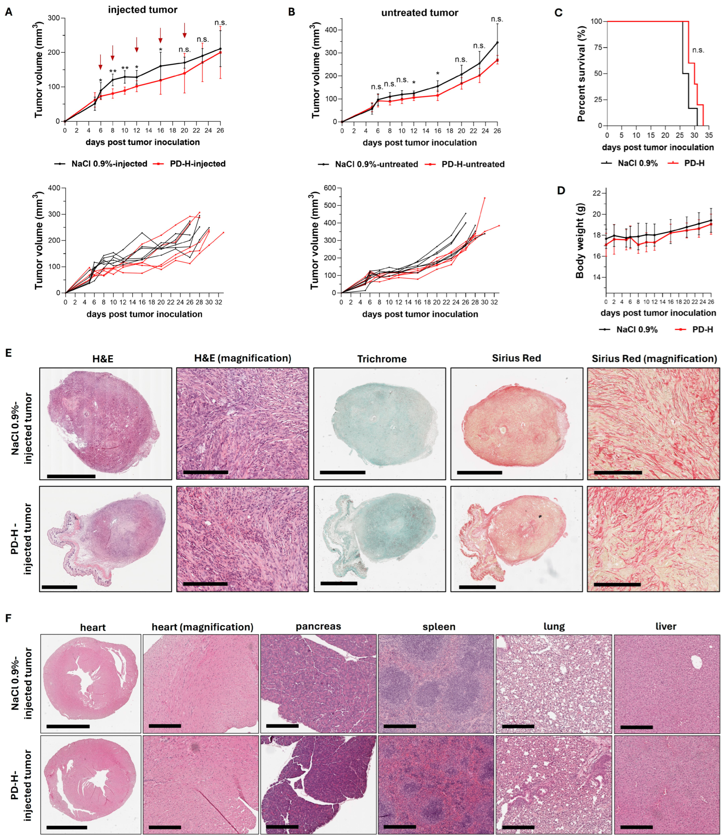Ijms 25 11224 g005 Ijms 25 11224 g005