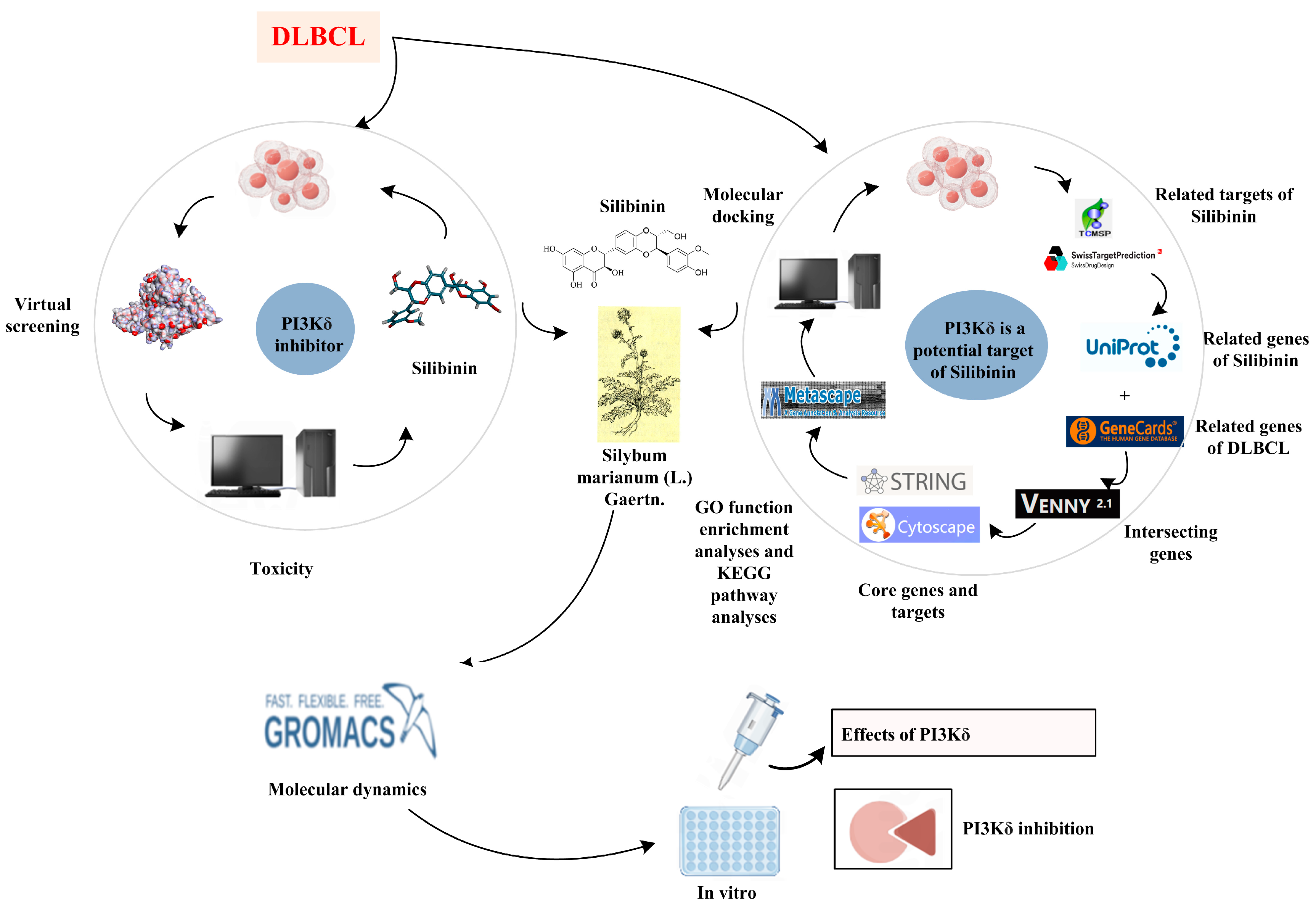In Silico Discovery of a Novel PI3Kδ Inhibitor Incorporating