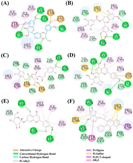 In Silico Discovery of a Novel PI3Kδ Inhibitor Incorporating 3,5,7