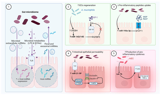 The Gut Microbiome Advances Precision Medicine and Diagnostics for