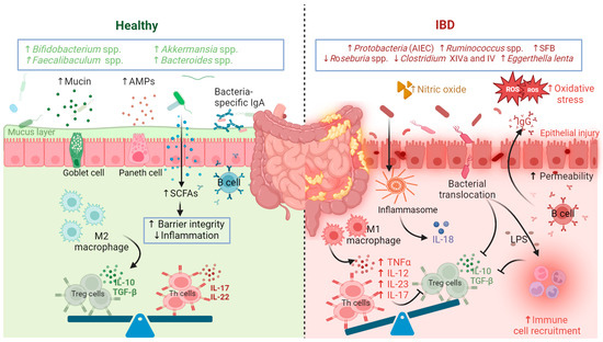 The Gut Microbiome Advances Precision Medicine and Diagnostics for