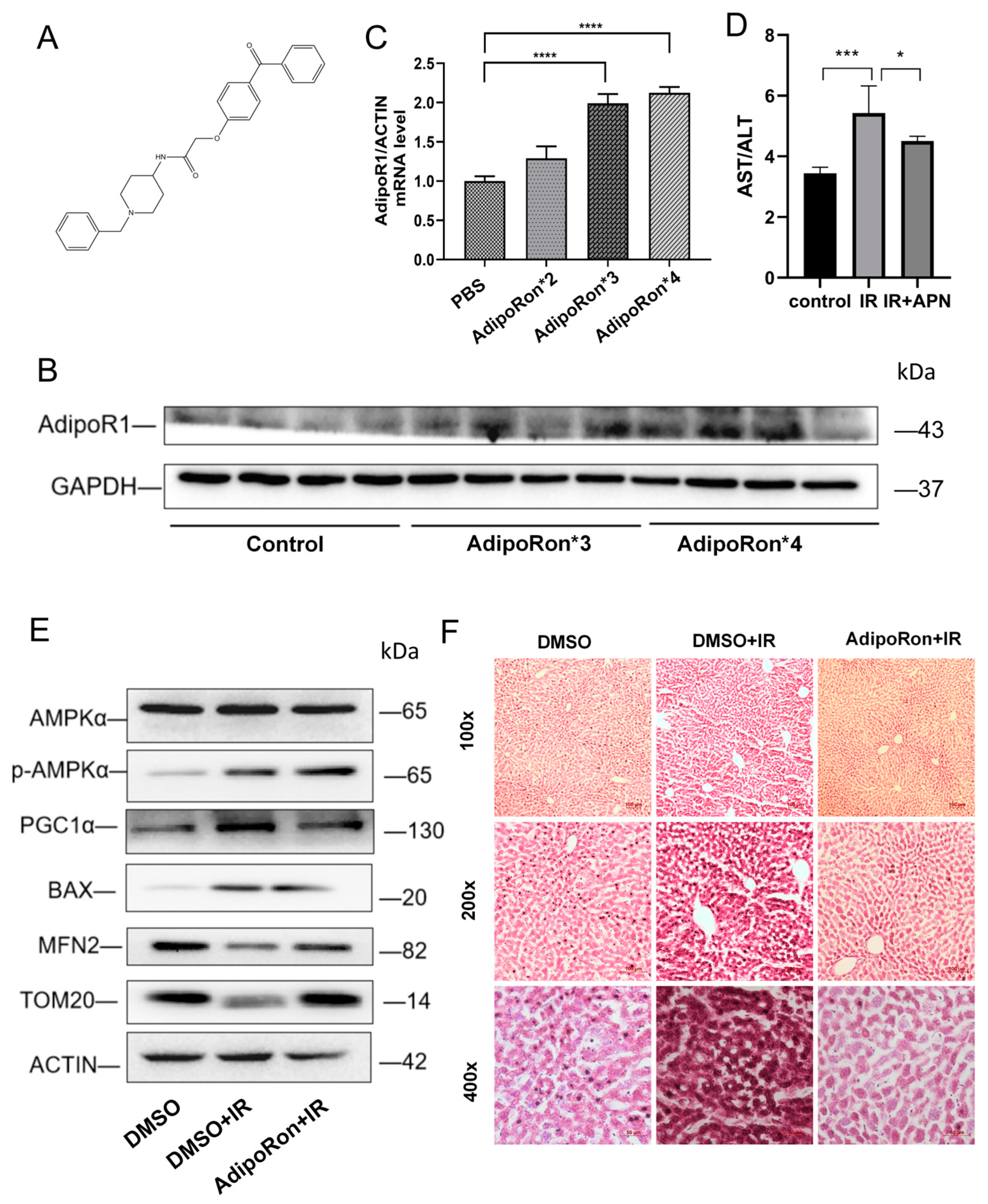 Ijms 25 11277 g001 Ijms 25 11277 g001