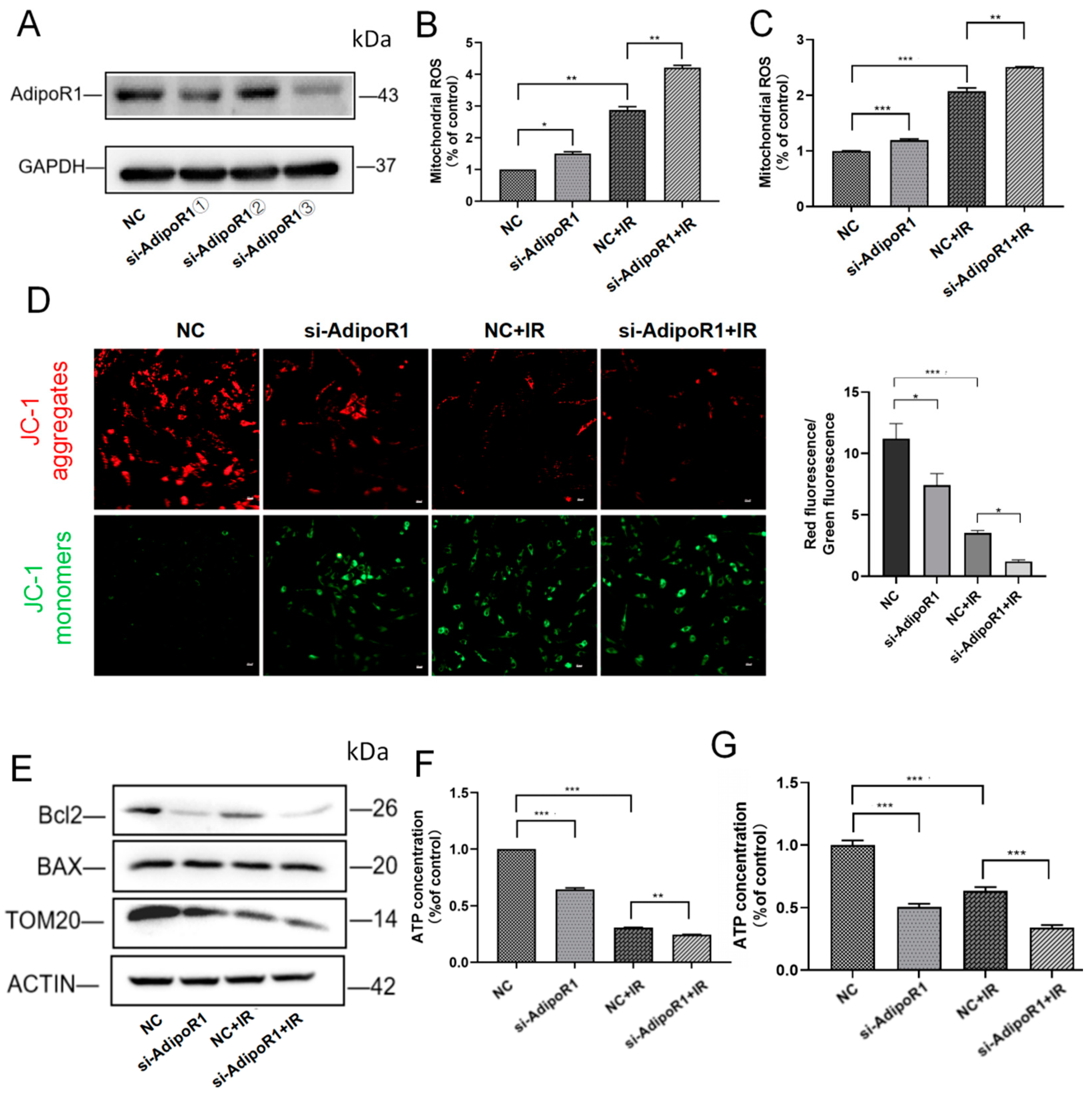 Ijms 25 11277 g003 Ijms 25 11277 g003