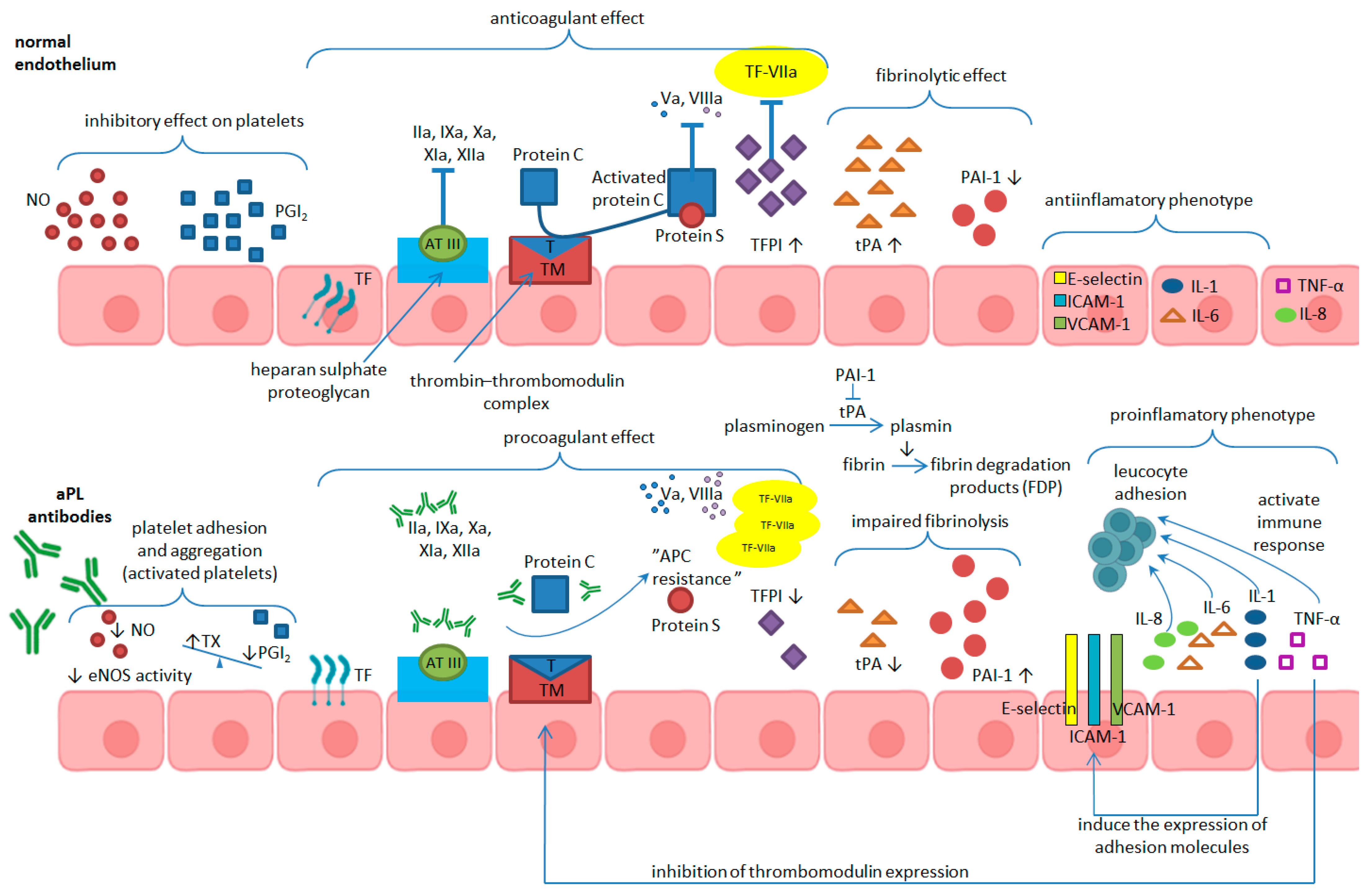 Ijms 25 11281 g002 Ijms 25 11281 g002