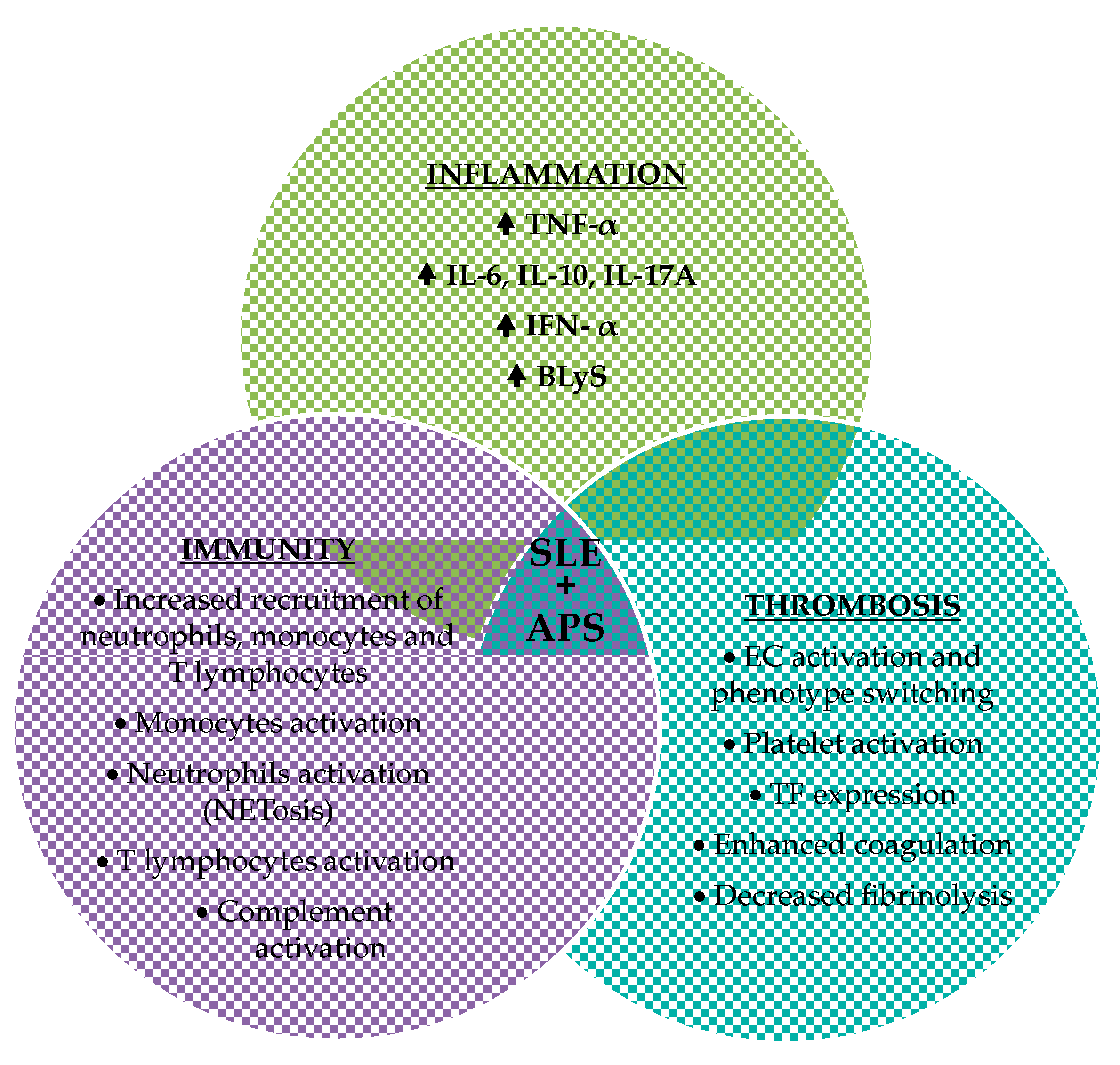Ijms 25 11281 g005 Ijms 25 11281 g005