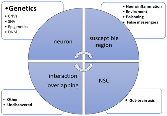 Autism Spectrum Disorder Pathogenesis—A Cross-Sectional