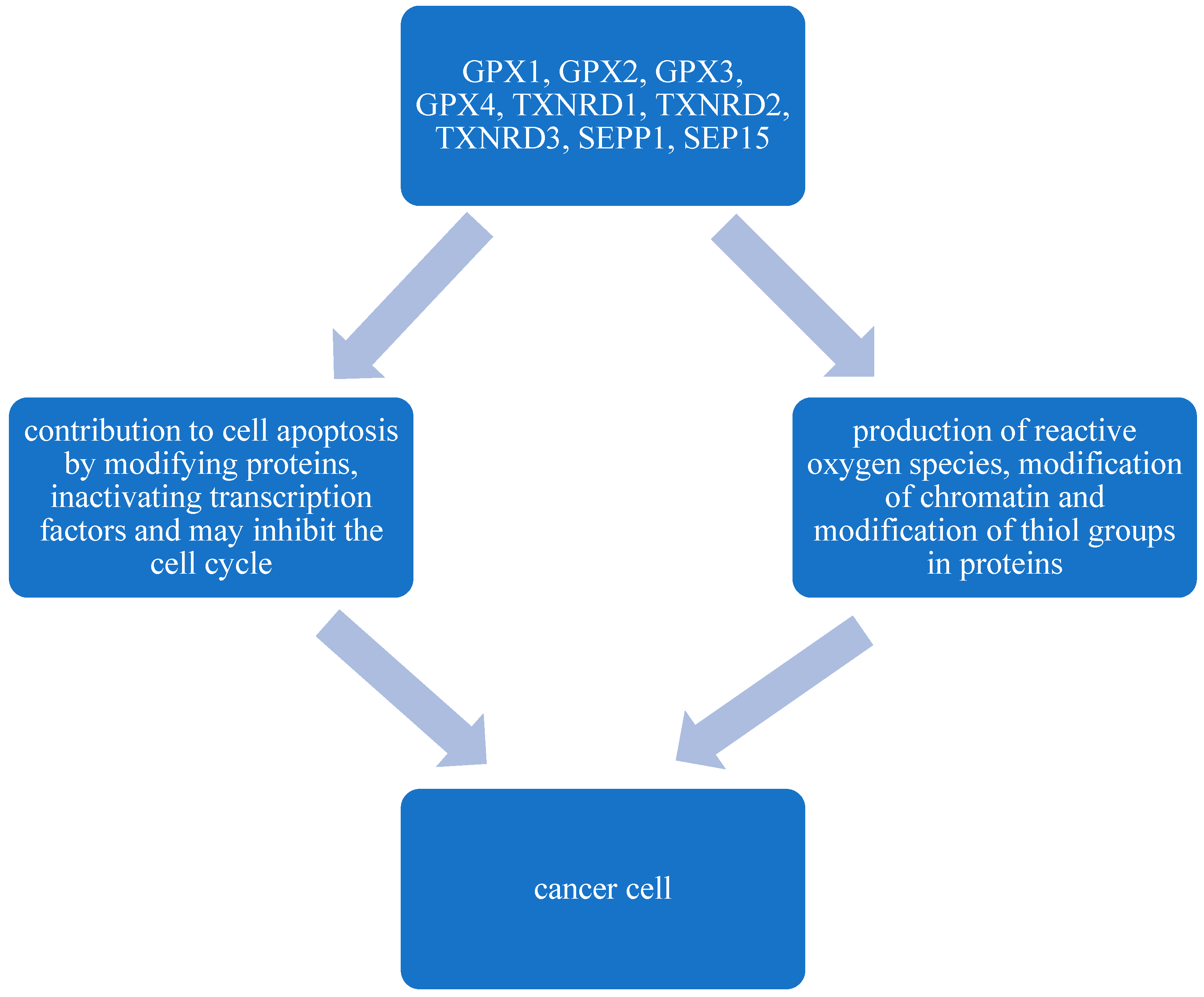 Ijms 25 11285 g001 Ijms 25 11285 g001