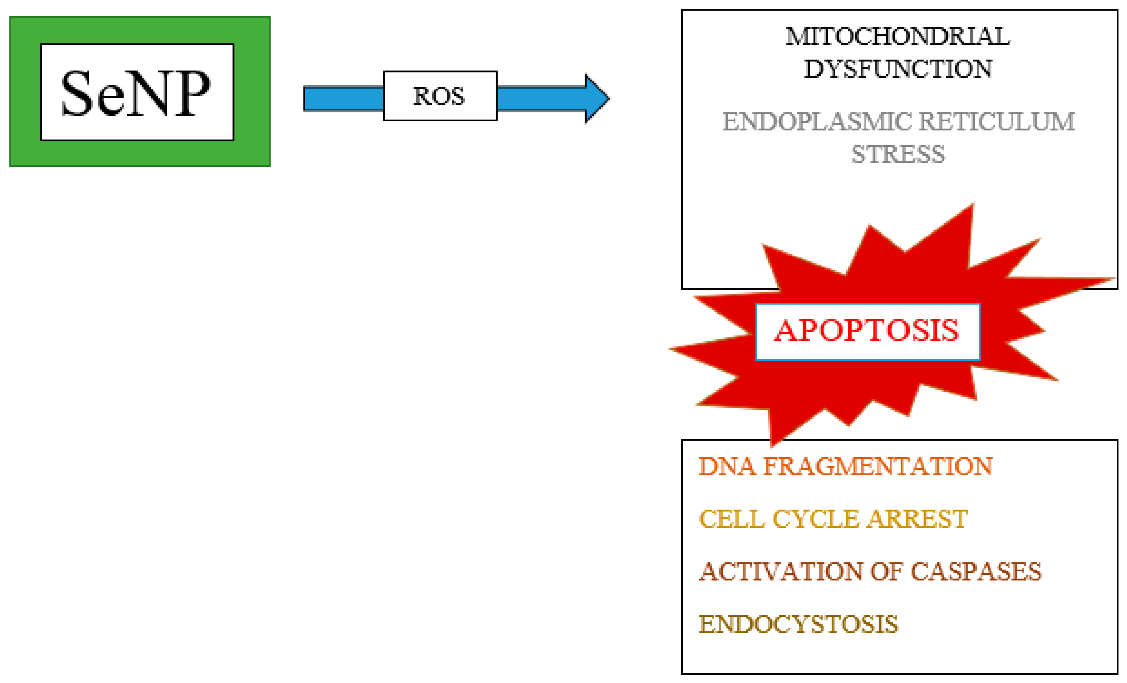 Ijms 25 11285 g002 Ijms 25 11285 g002