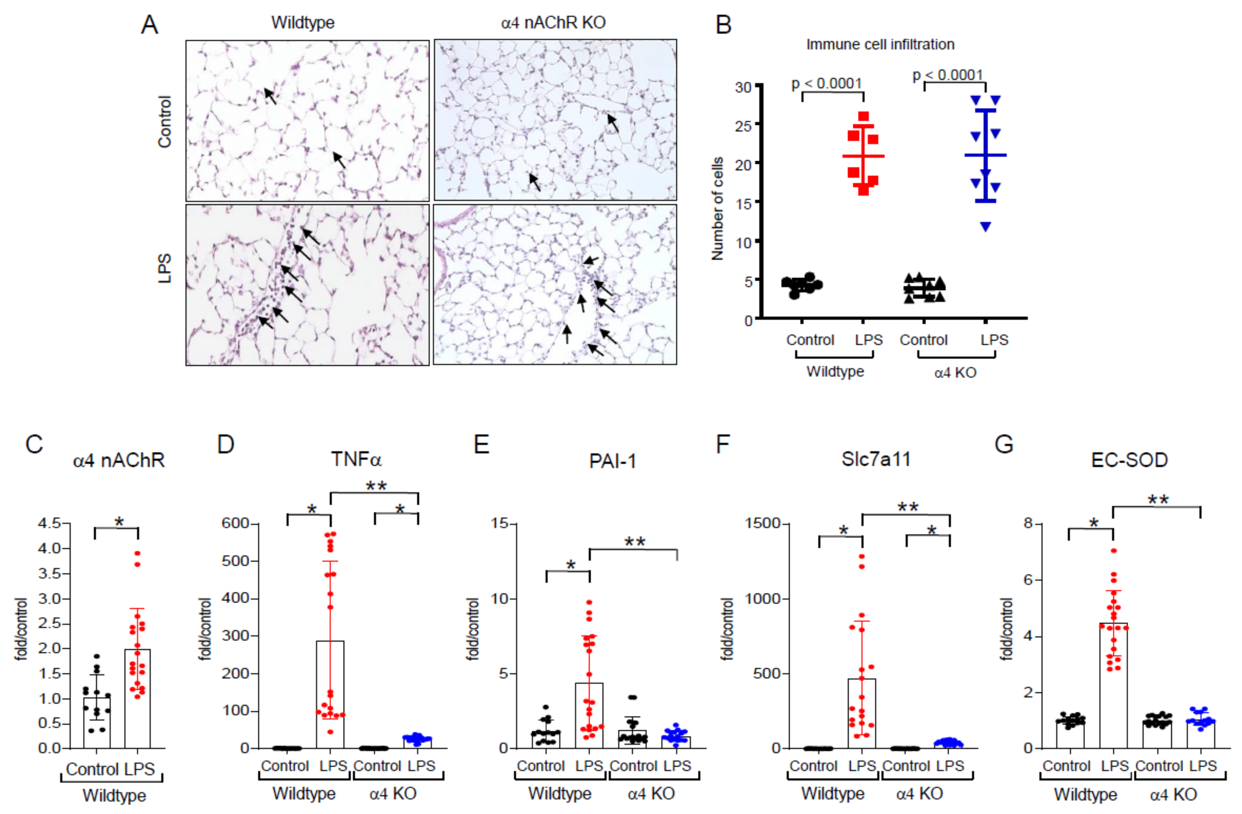Ijms 25 11305 g002 Ijms 25 11305 g002