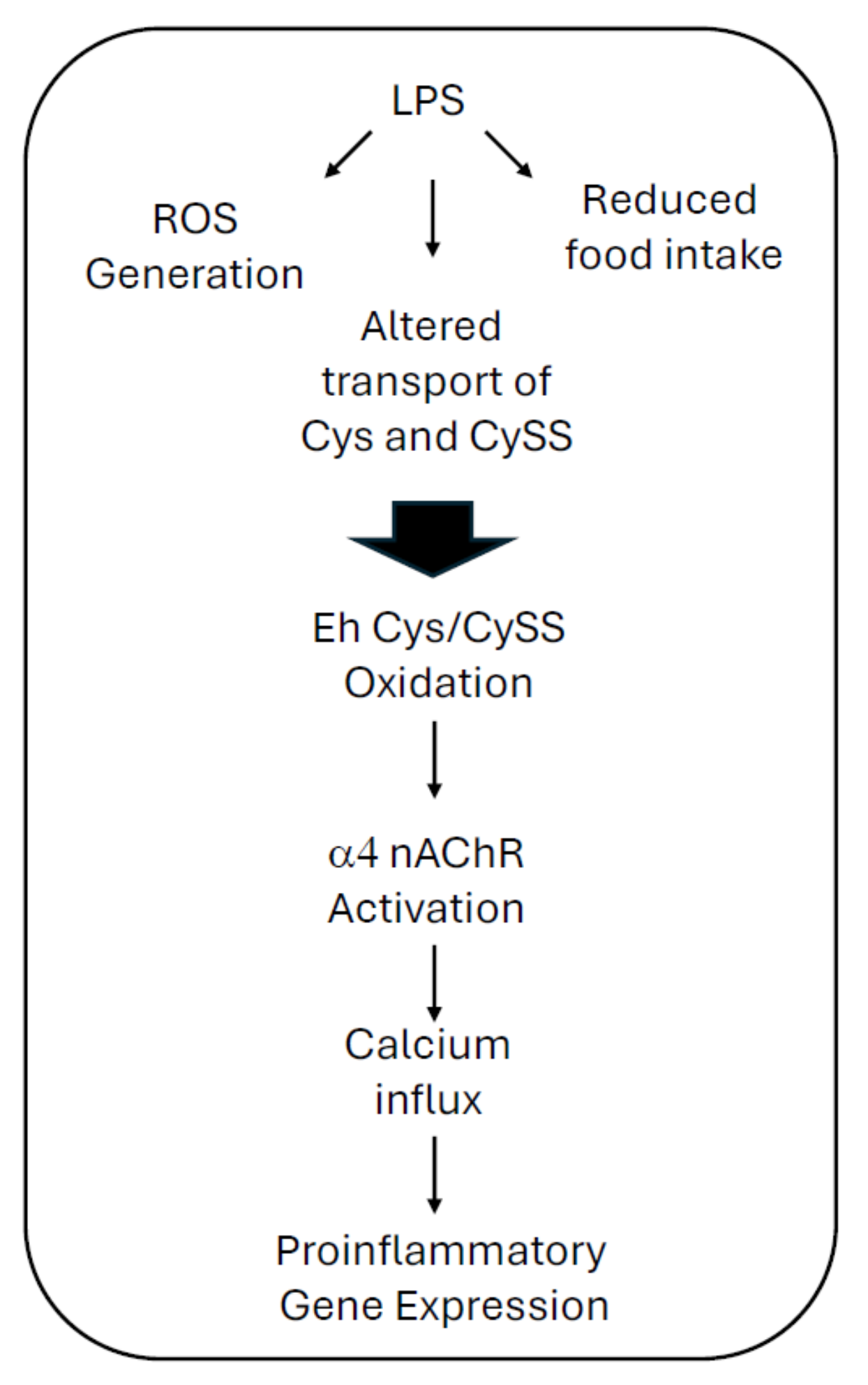 Ijms 25 11305 g005 Ijms 25 11305 g005