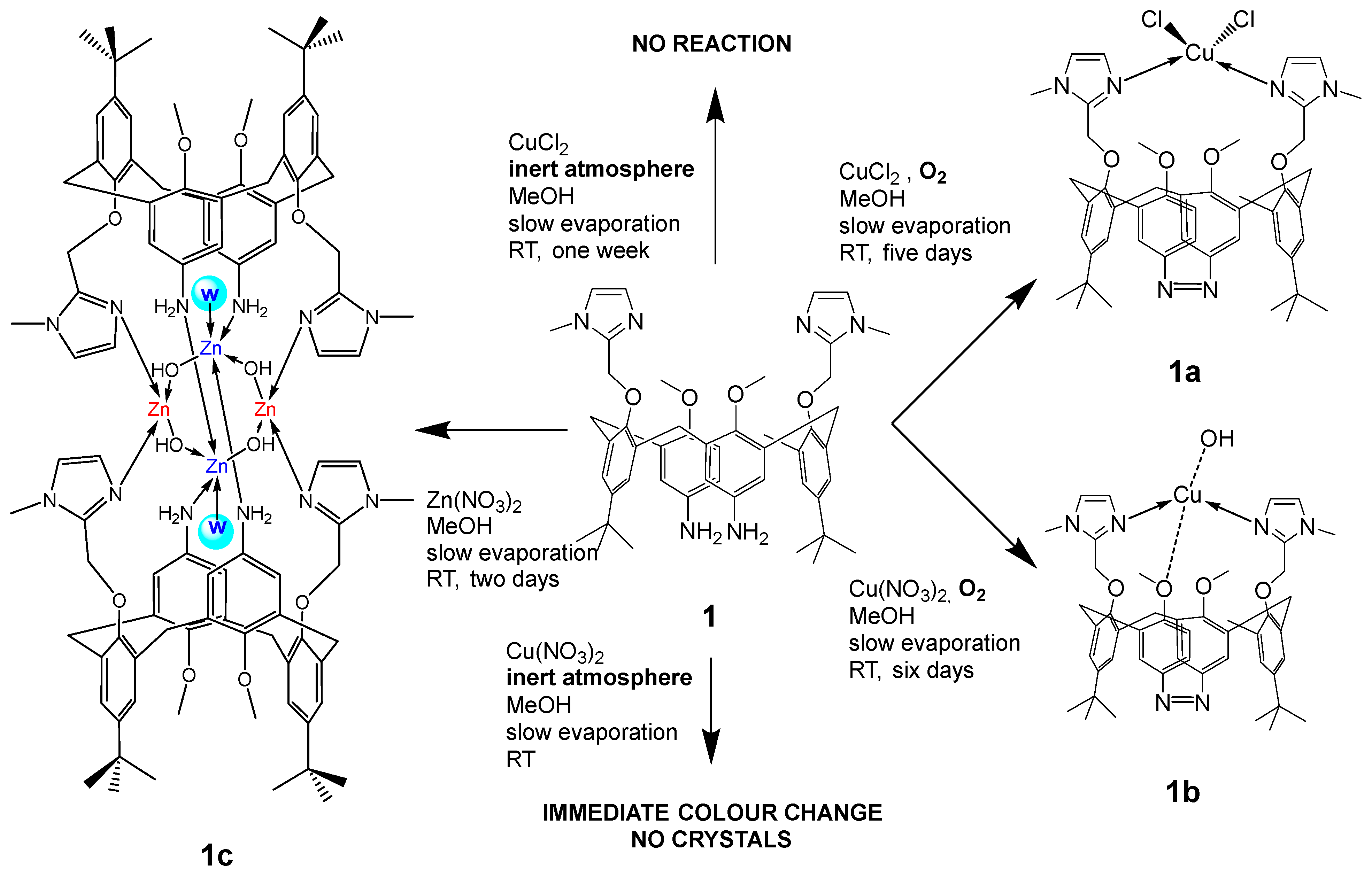 Ijms 25 11314 sch002