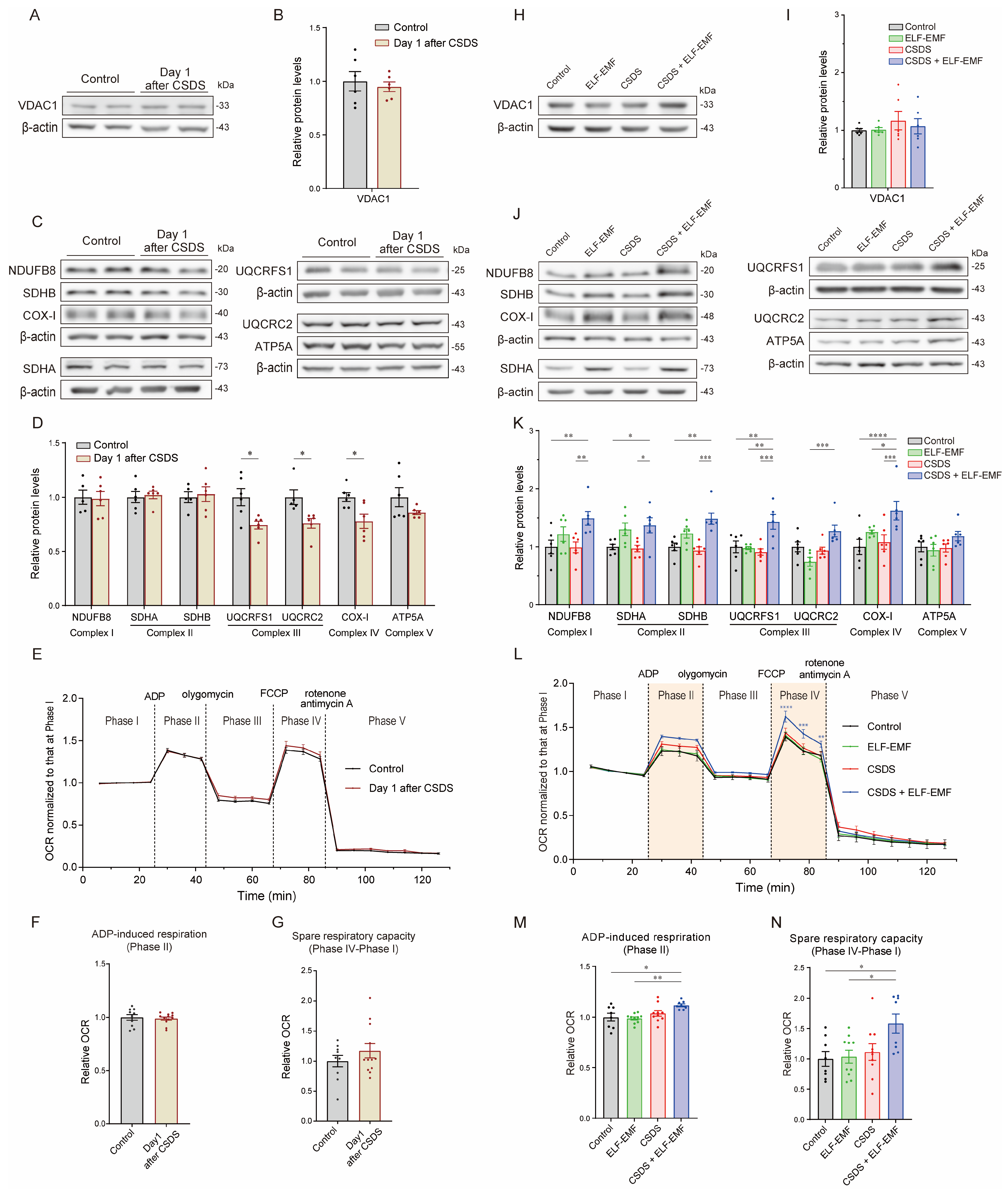 Ijms 25 11315 g002 Ijms 25 11315 g002