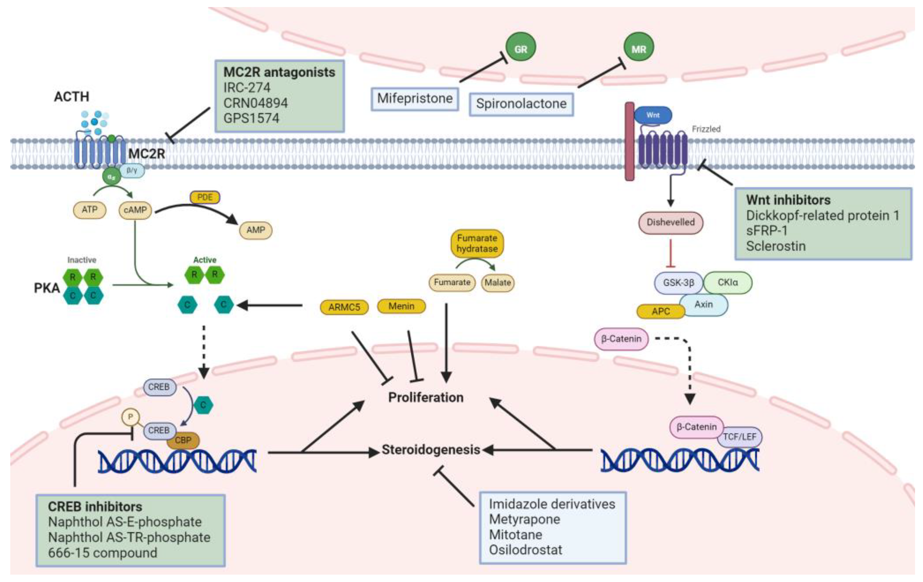 Ijms 25 11341 g005 Ijms 25 11341 g005