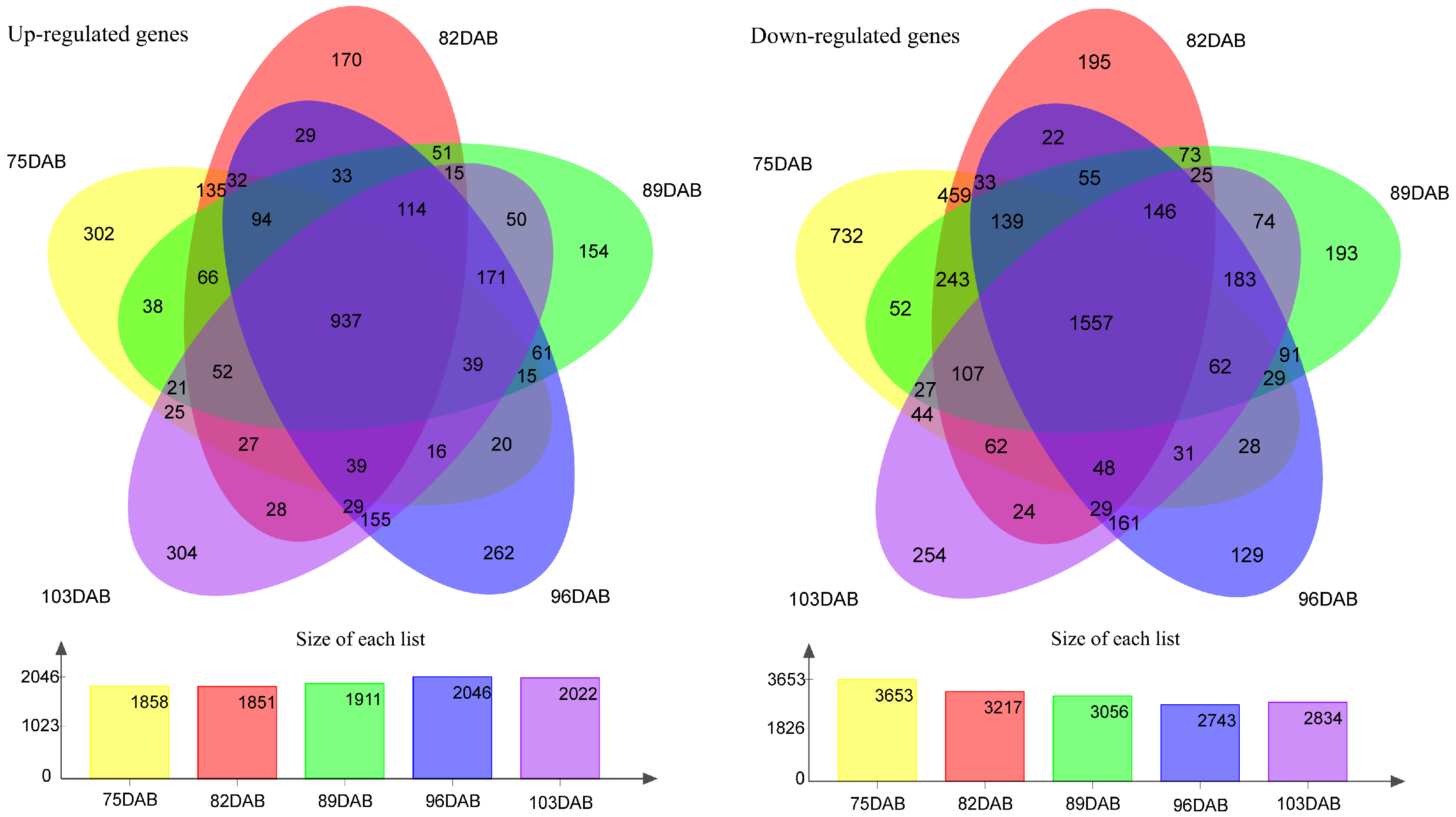 Ijms 25 11347 g005 Ijms 25 11347 g005