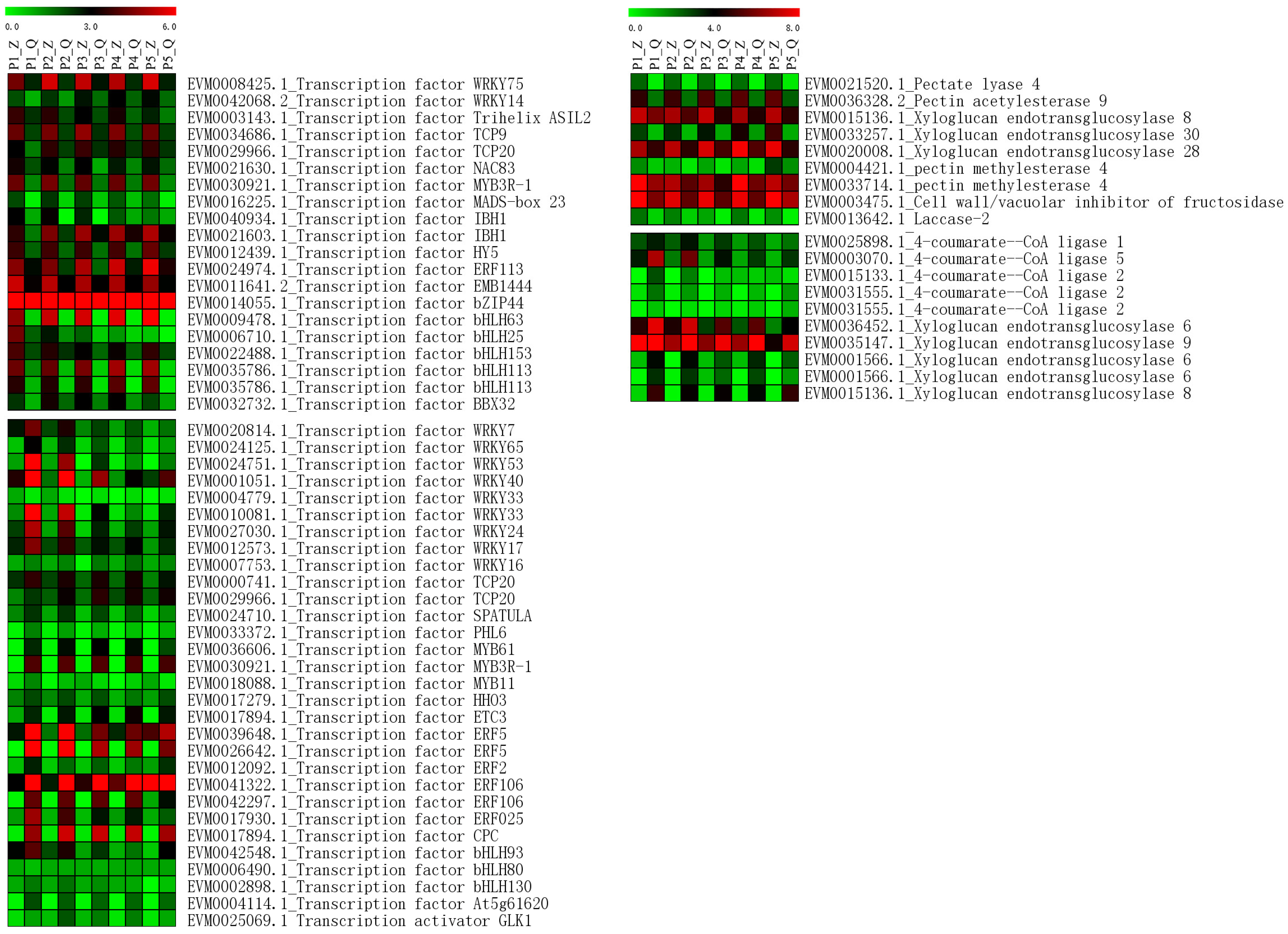 Ijms 25 11347 g006 Ijms 25 11347 g006