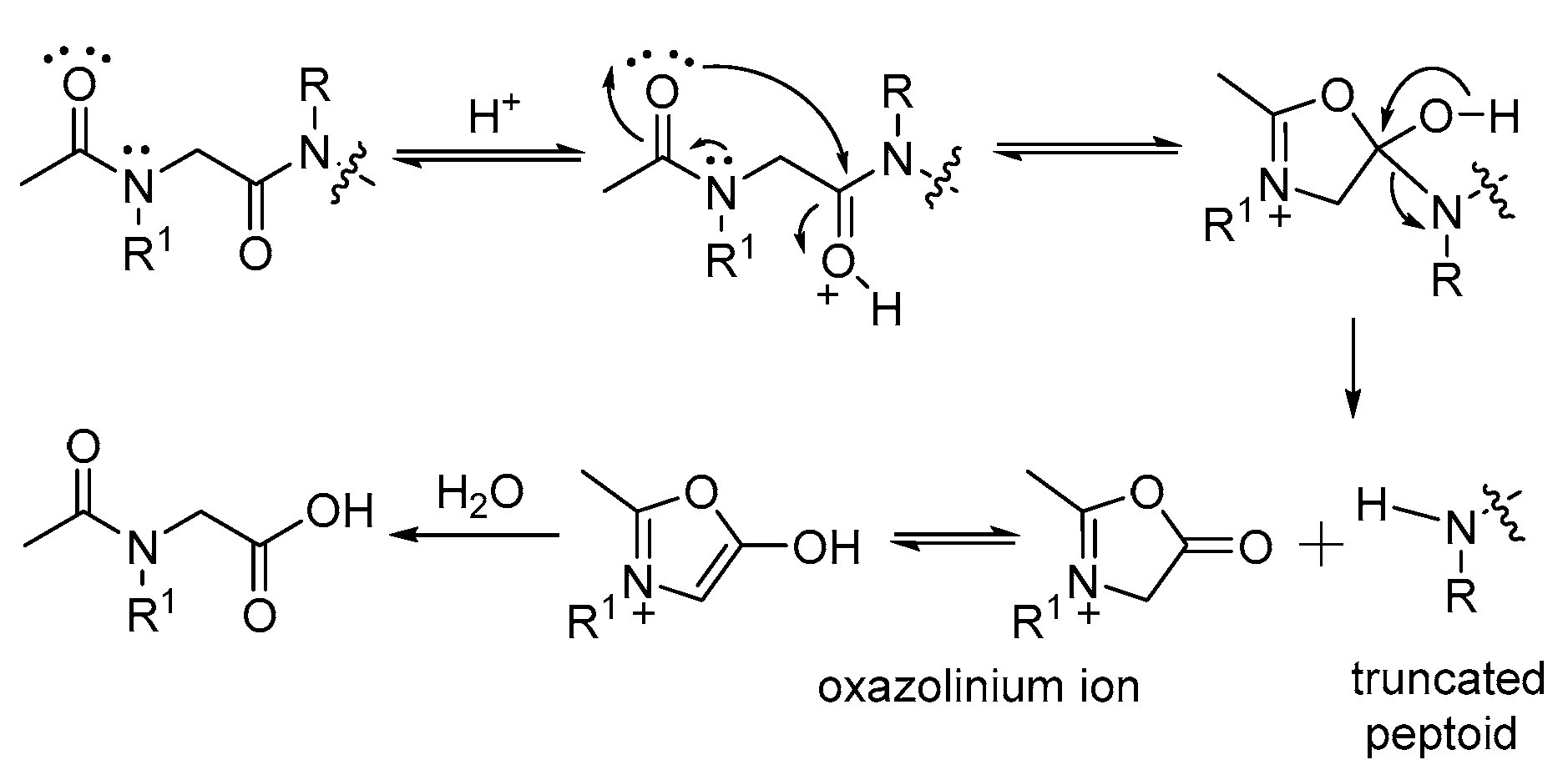 Ijms 25 11390 g001 Ijms 25 11390 g001