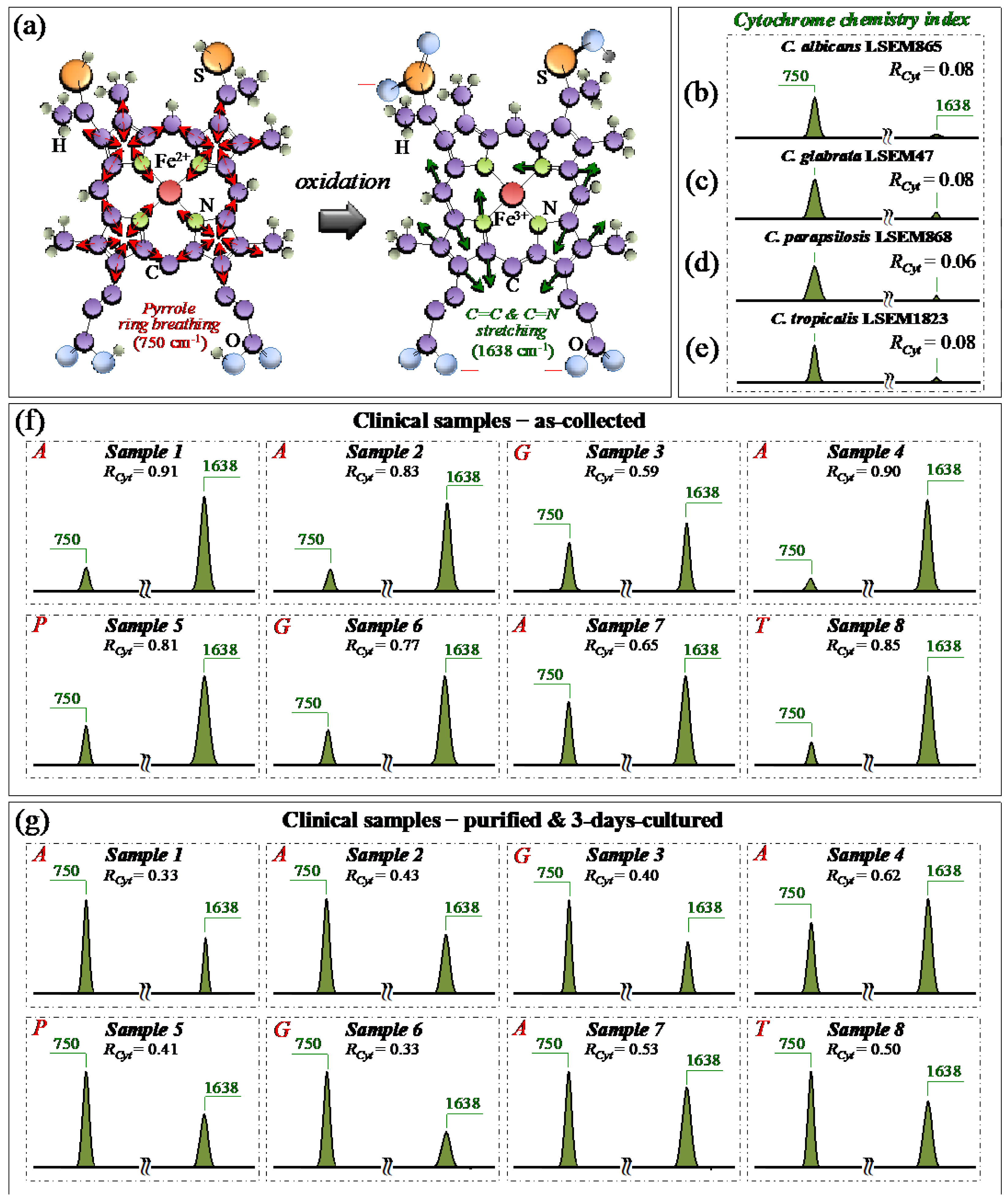 Ijms 25 11410 g008 Ijms 25 11410 g008