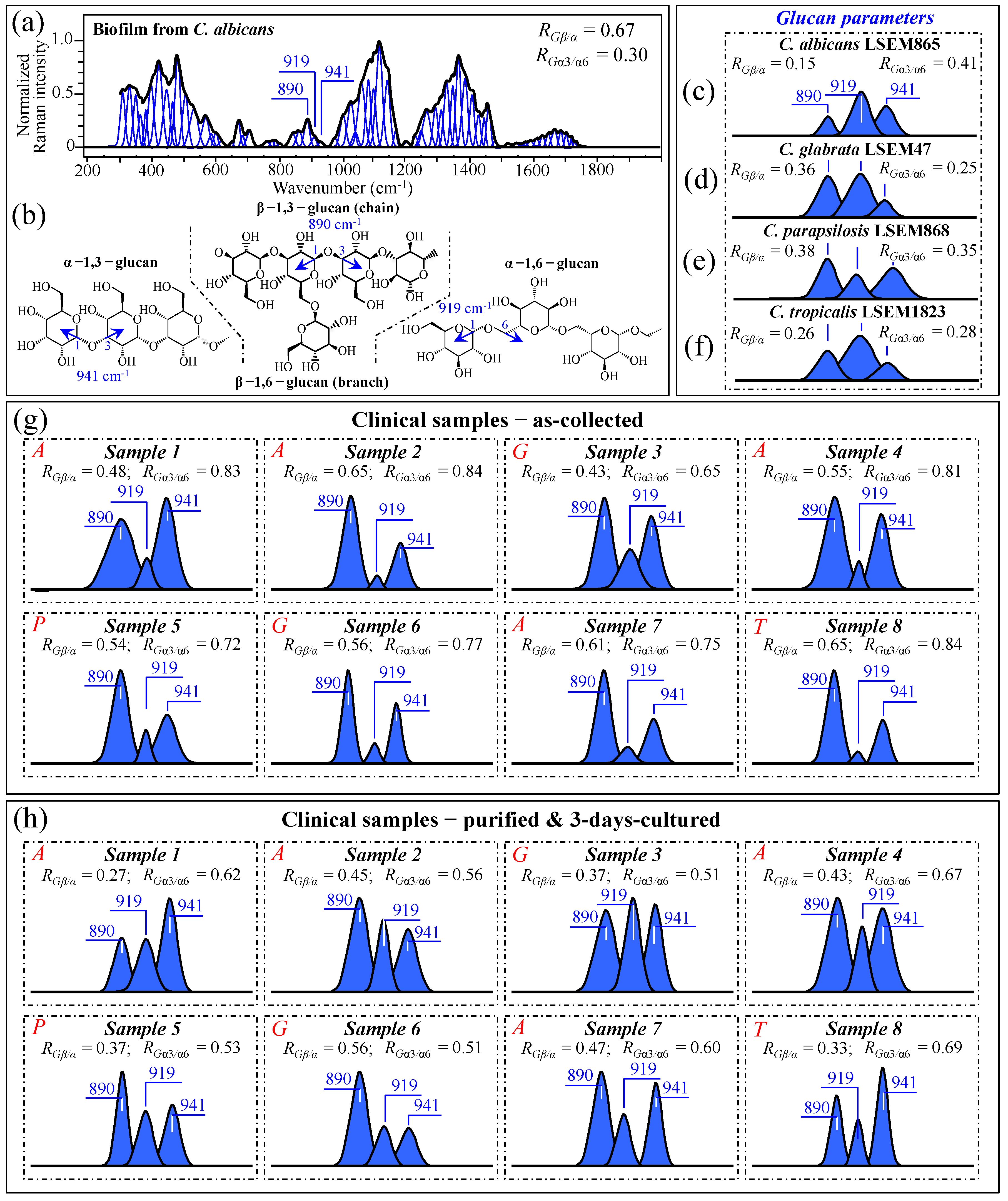 Ijms 25 11410 g009 Ijms 25 11410 g009