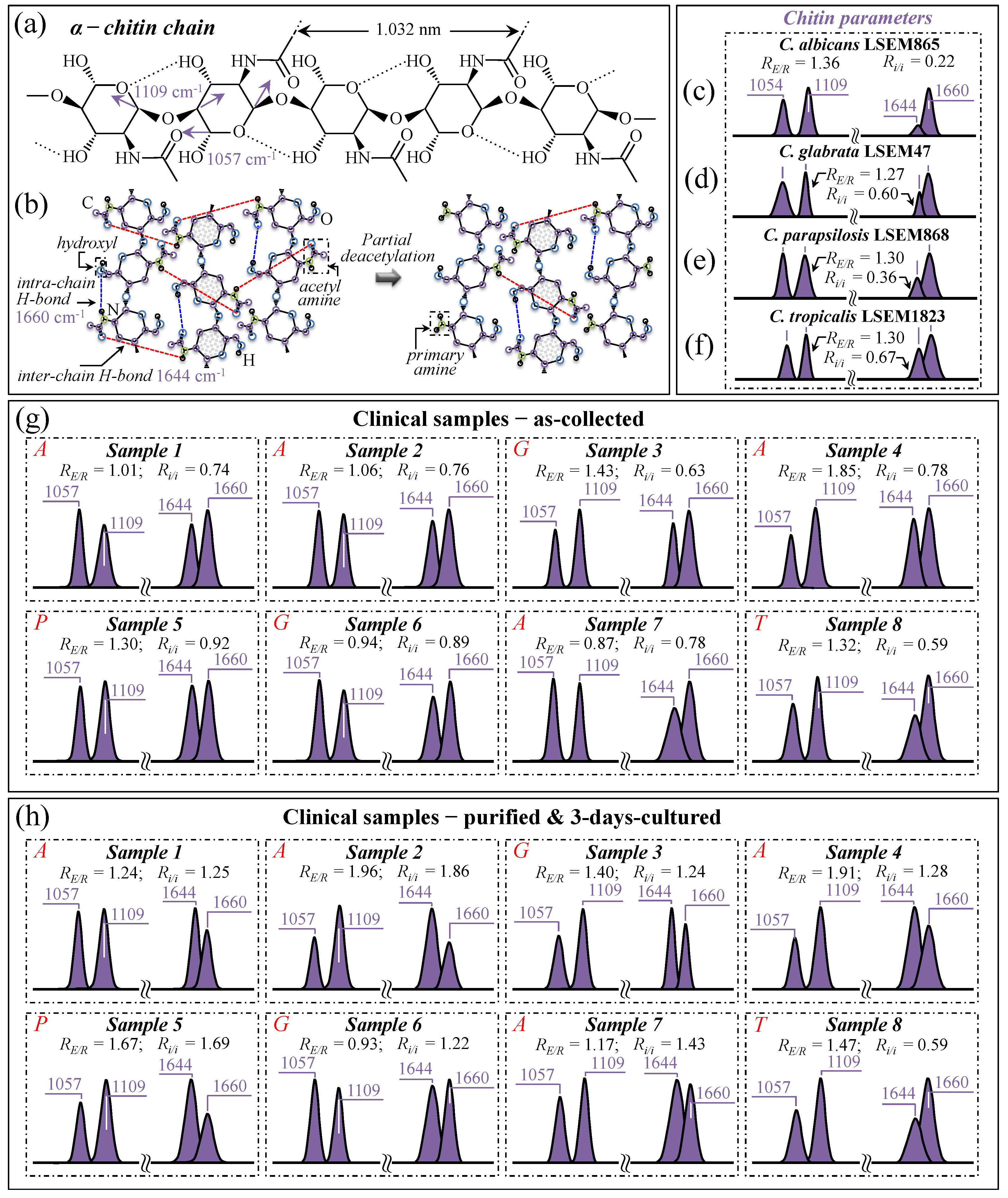 Ijms 25 11410 g010 Ijms 25 11410 g010