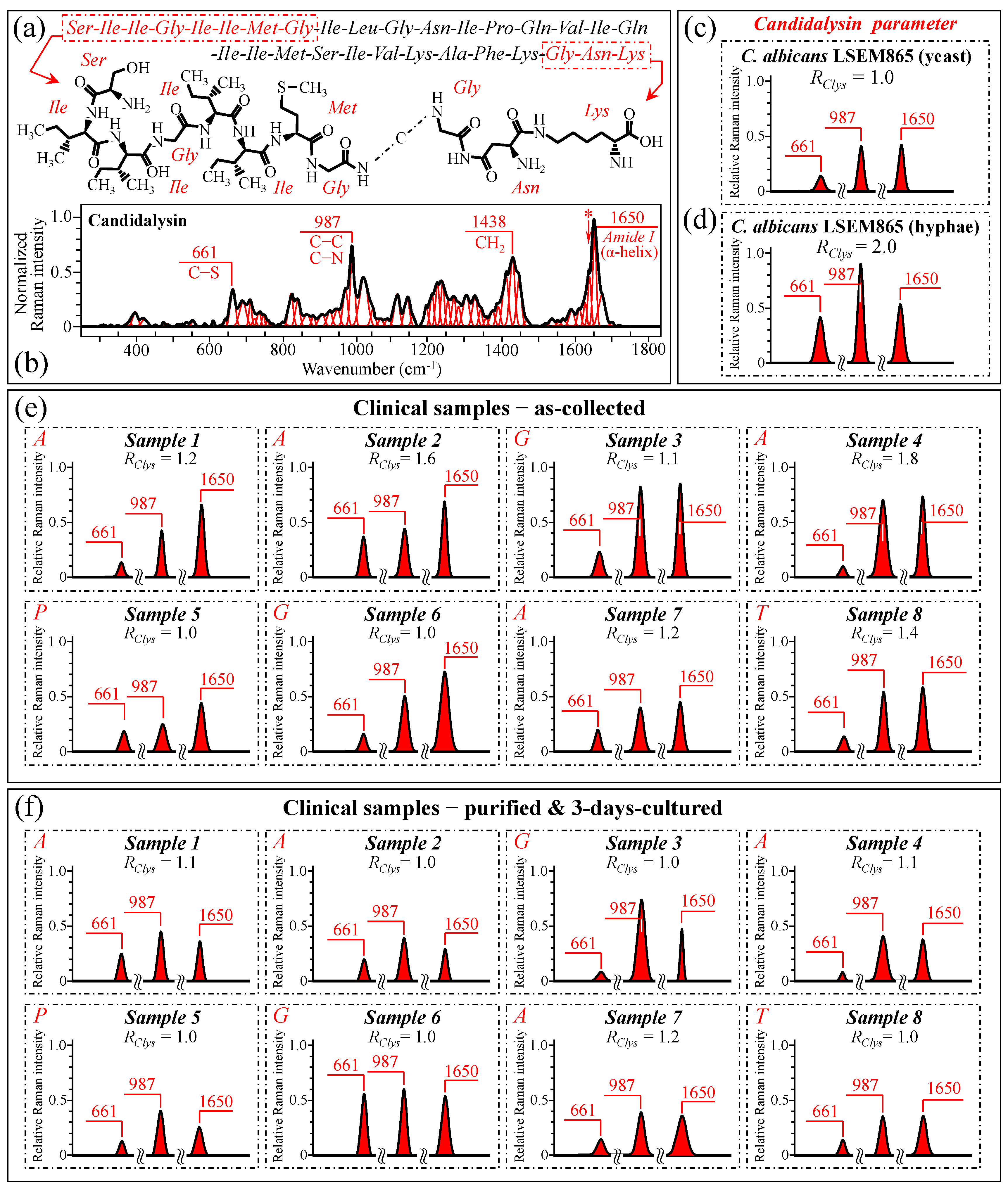 Ijms 25 11410 g012 Ijms 25 11410 g012