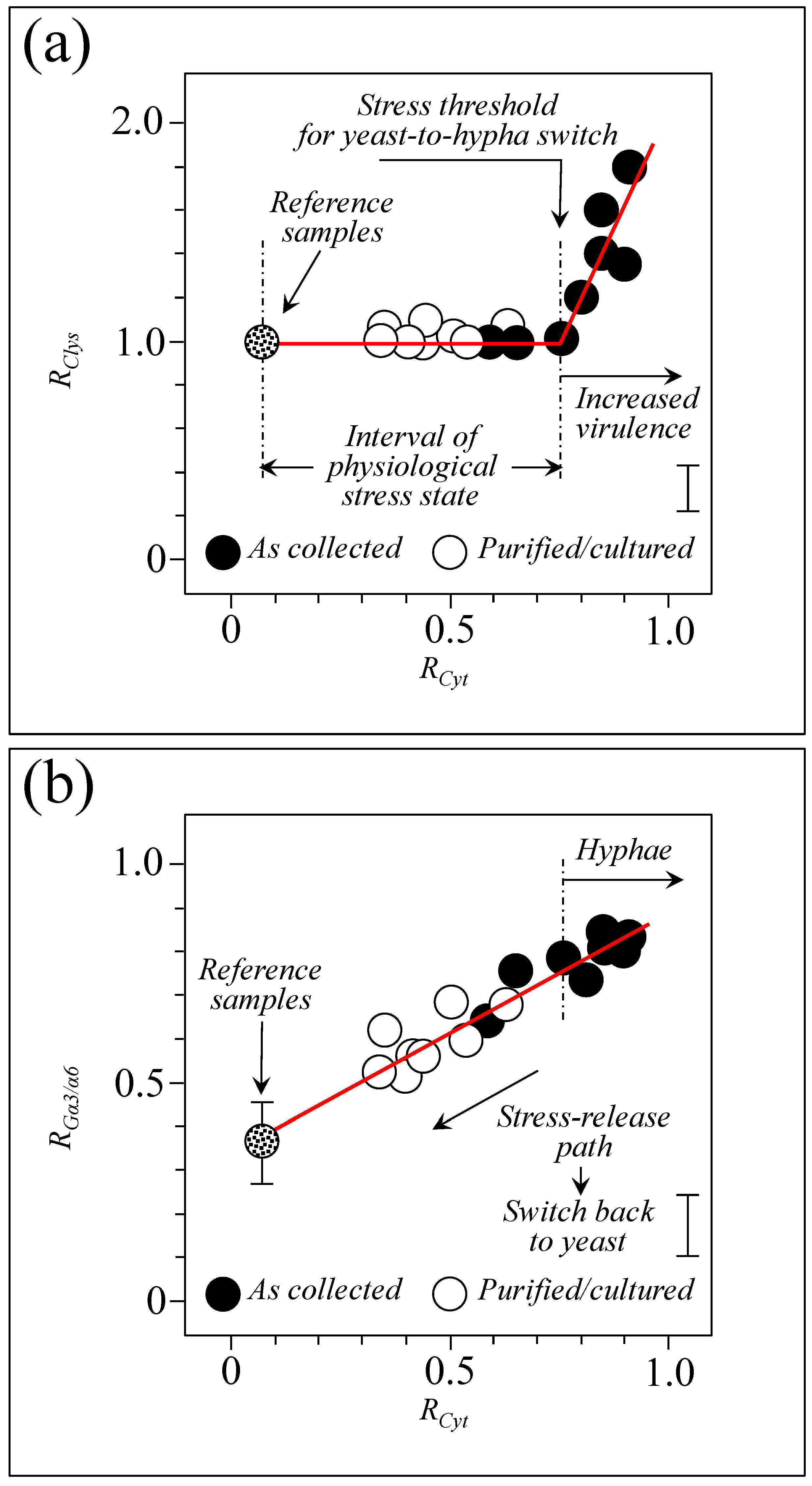 Ijms 25 11410 g014 Ijms 25 11410 g014