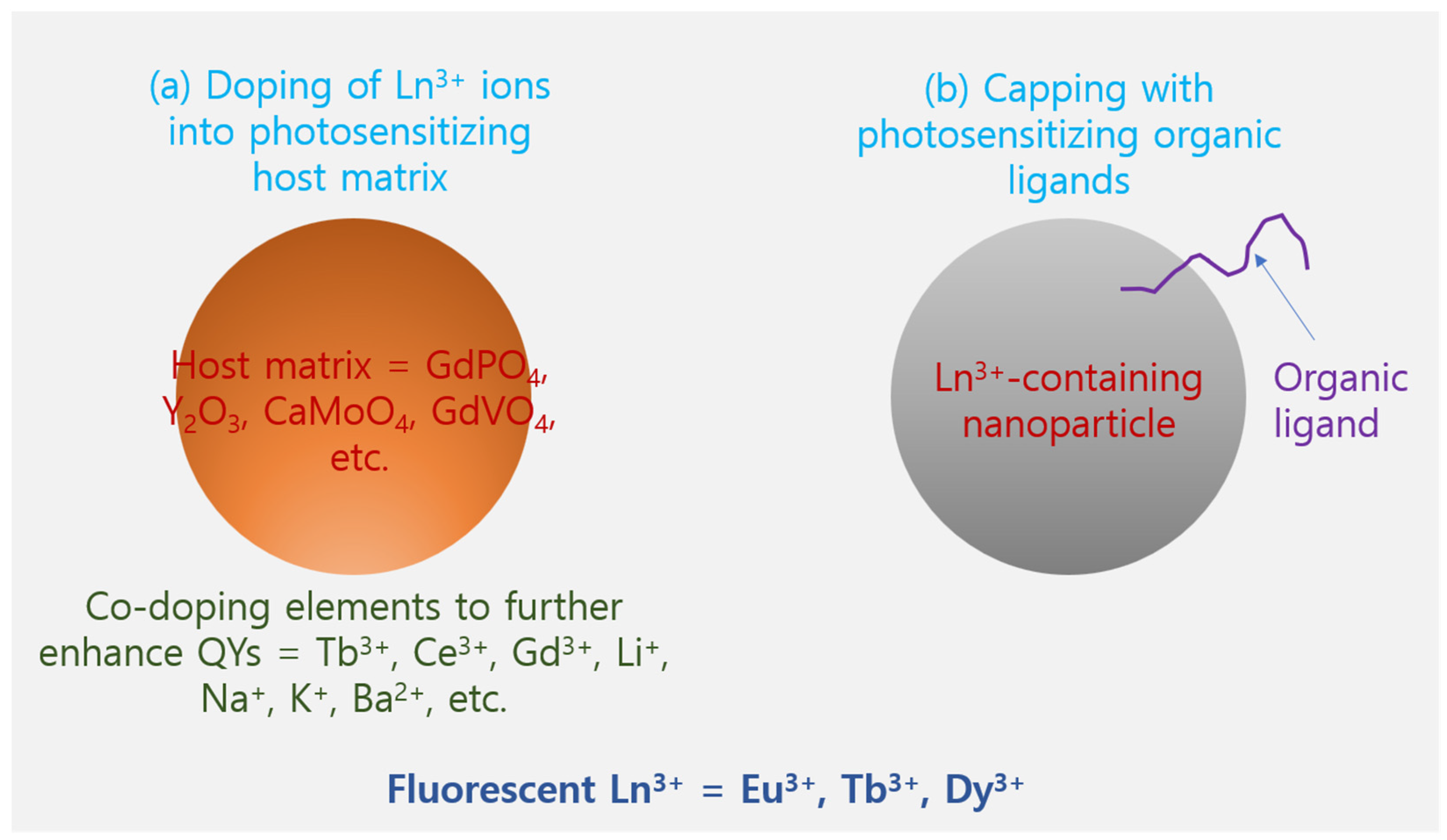 Ijms 25 11419 sch001