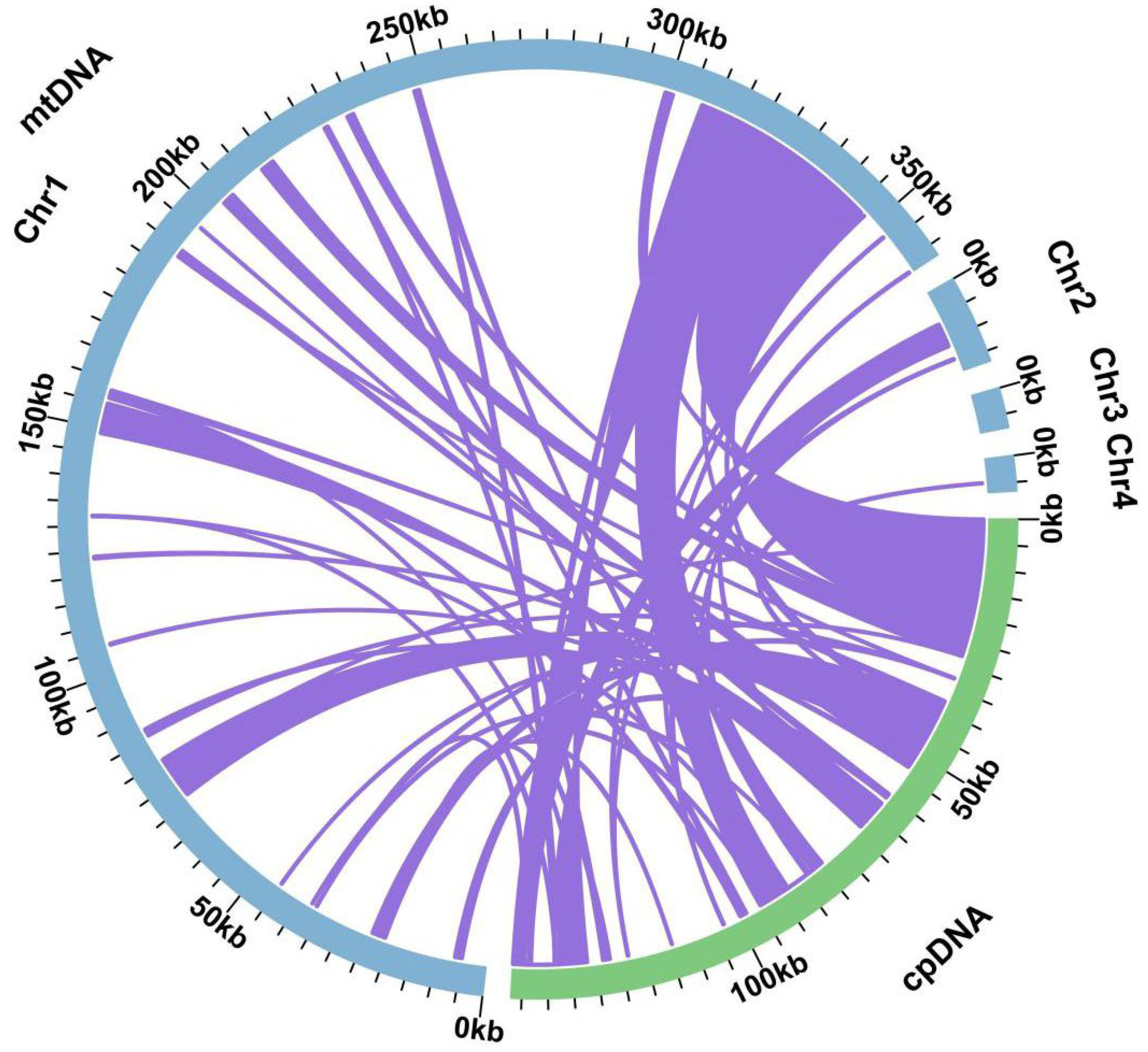 Ijms 25 11428 g005 Ijms 25 11428 g005