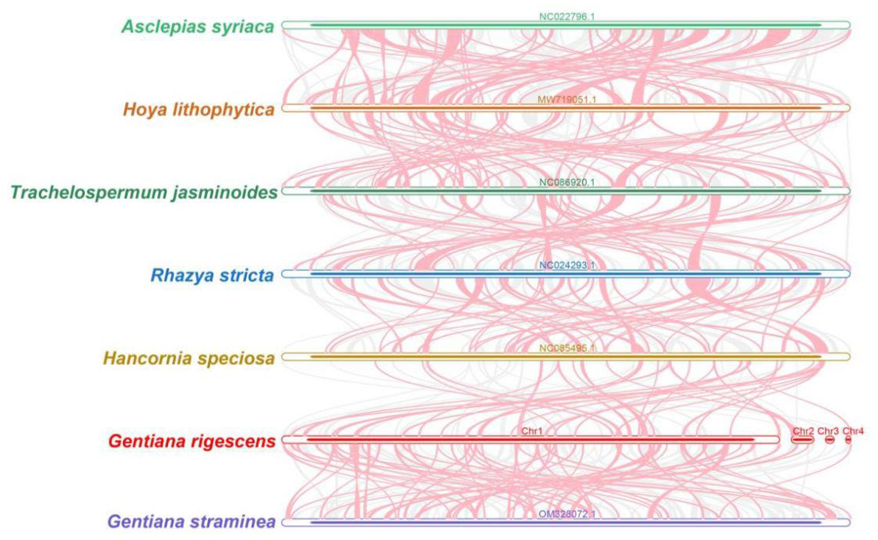 Ijms 25 11428 g006 Ijms 25 11428 g006