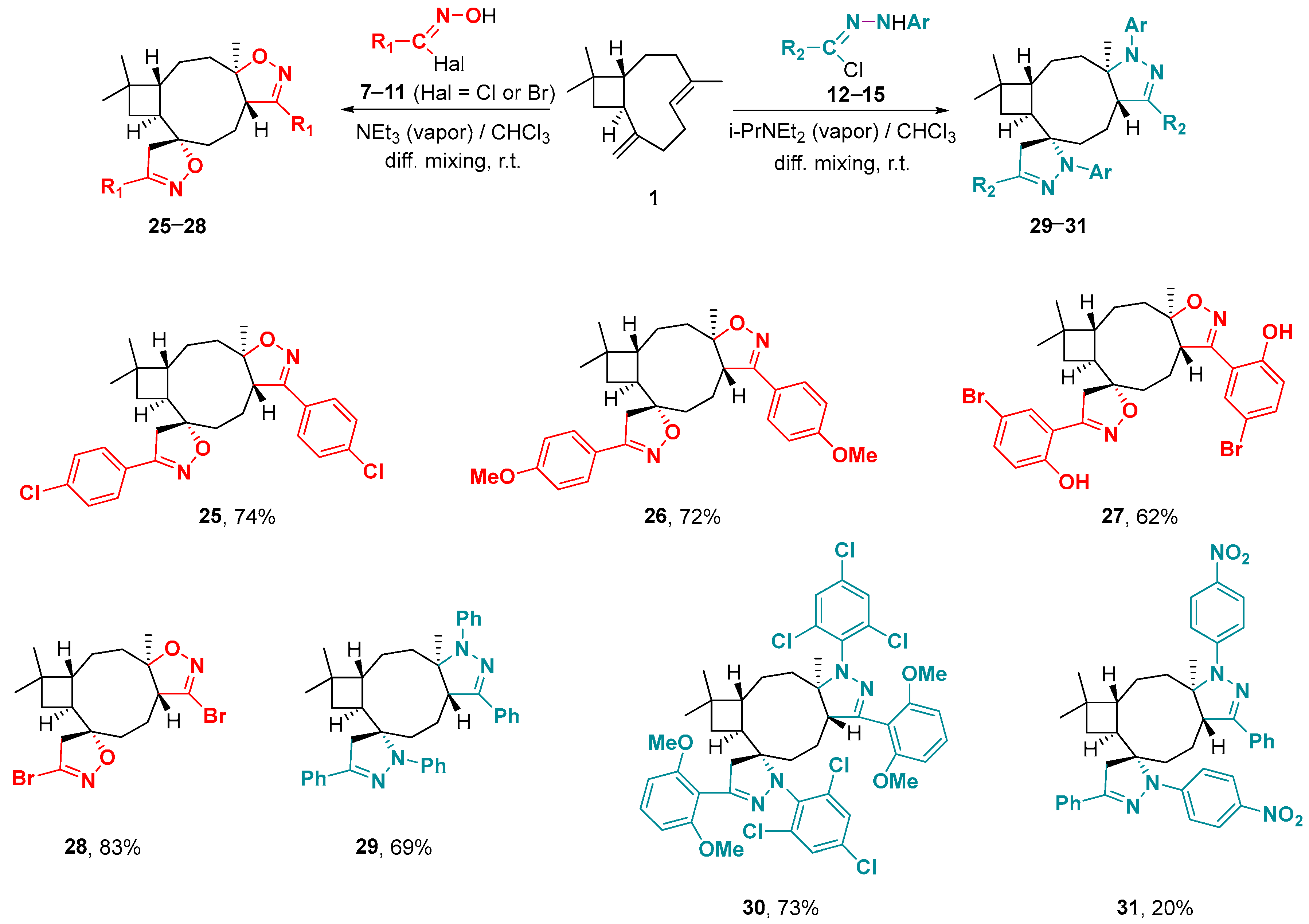 Ijms 25 11435 sch005