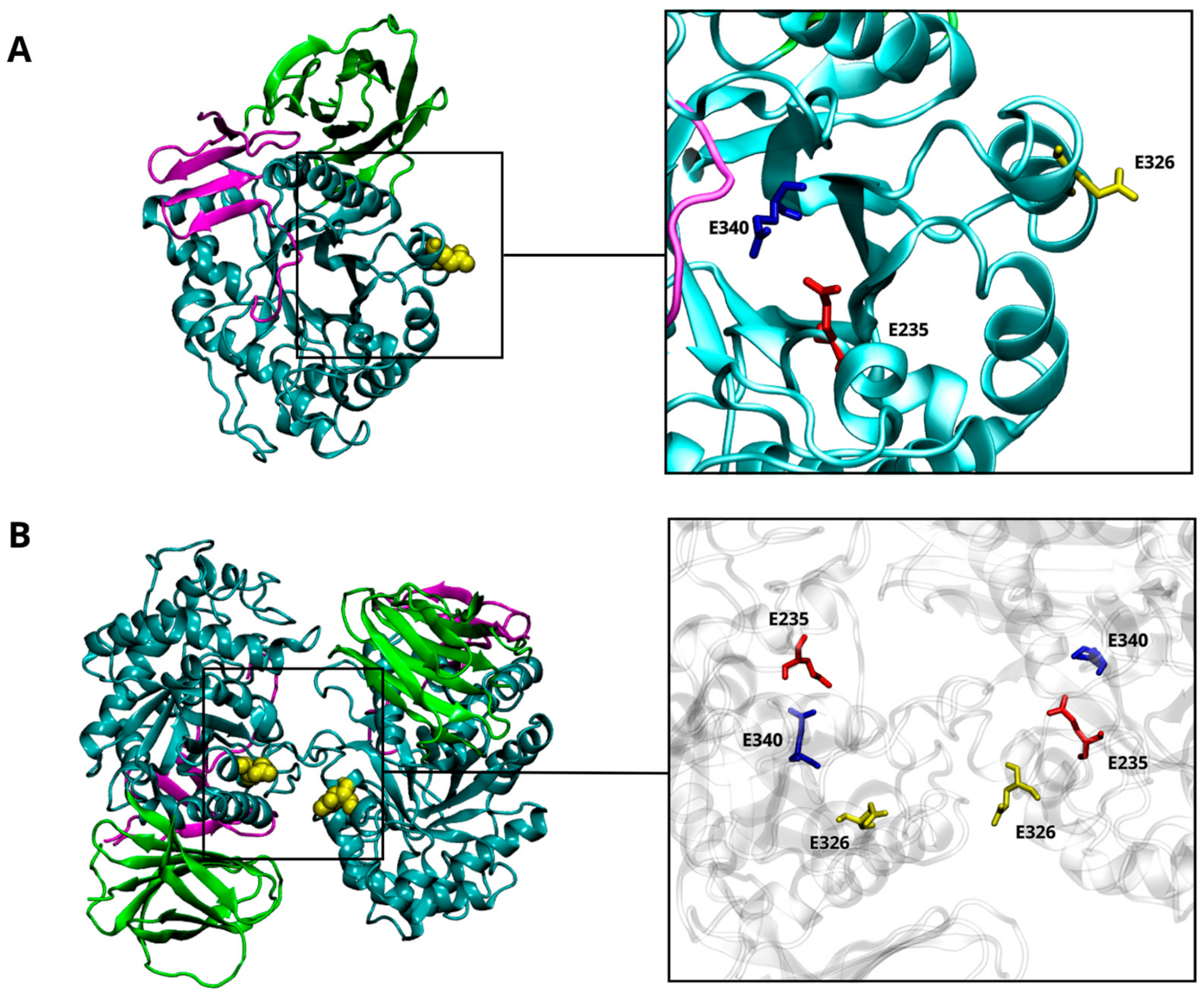 Investigating the Impact of the Parkinson's-Associated GBA1
