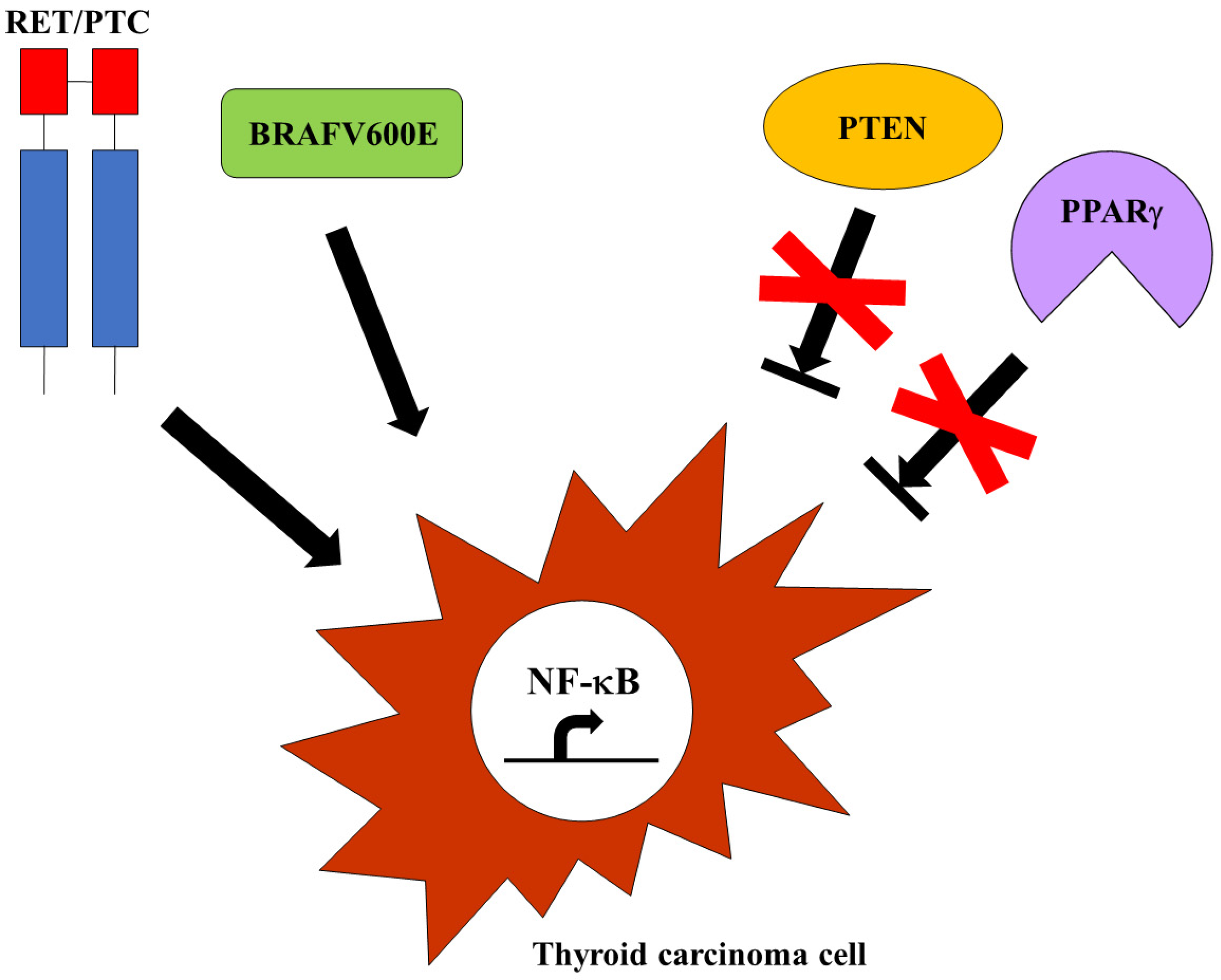 Ijms 25 11464 g003 Ijms 25 11464 g003