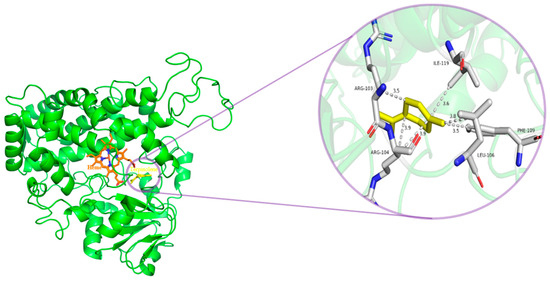 The Effect of Protein Nutritional Support on Inflammatory
