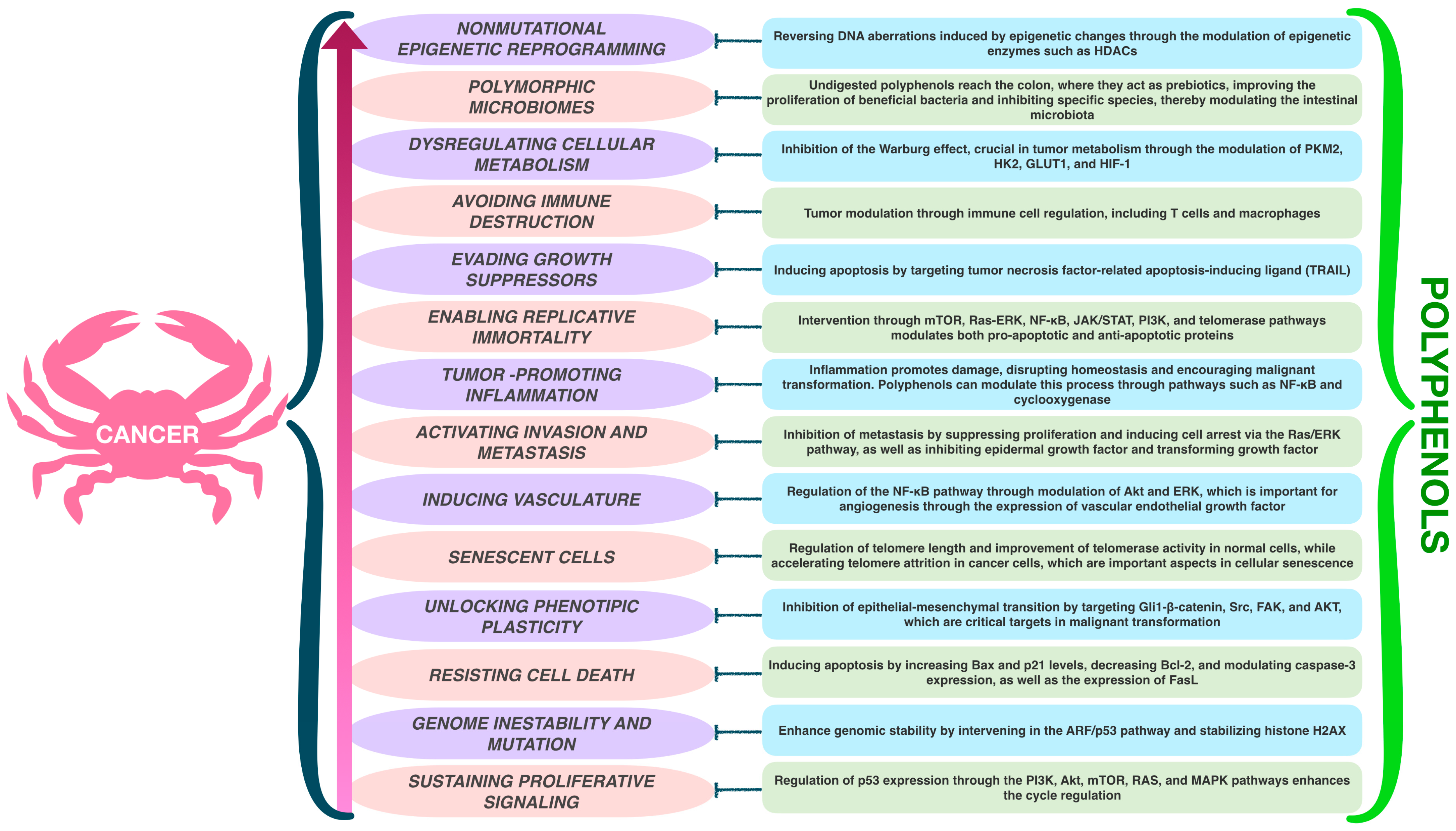 Ijms 25 11477 g002 Ijms 25 11477 g002